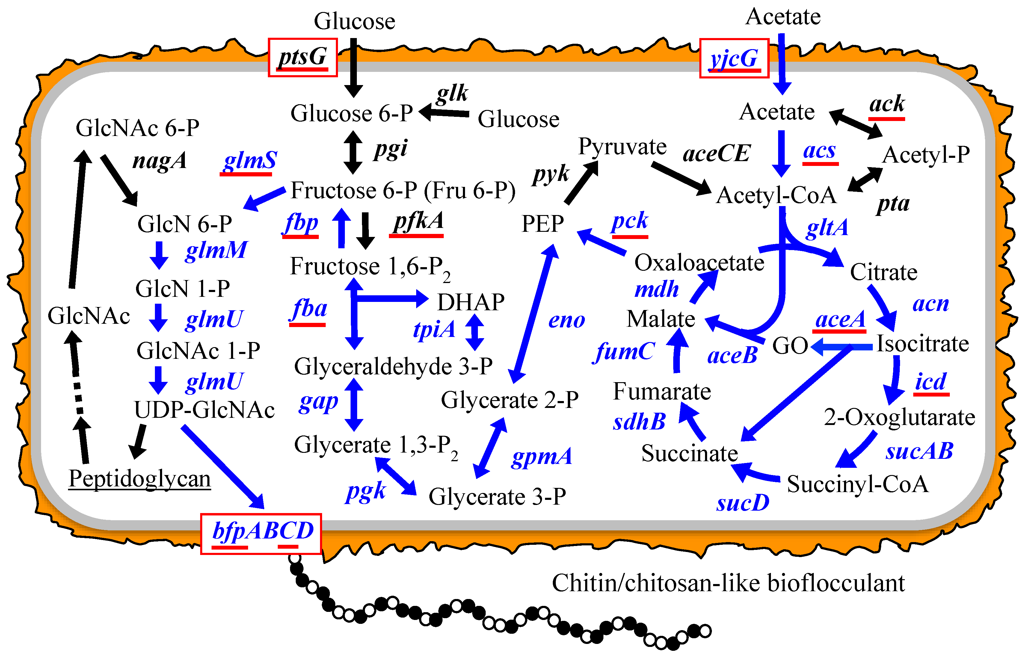 Polymers 10 00237 g001 Polymers 10 00237 g001