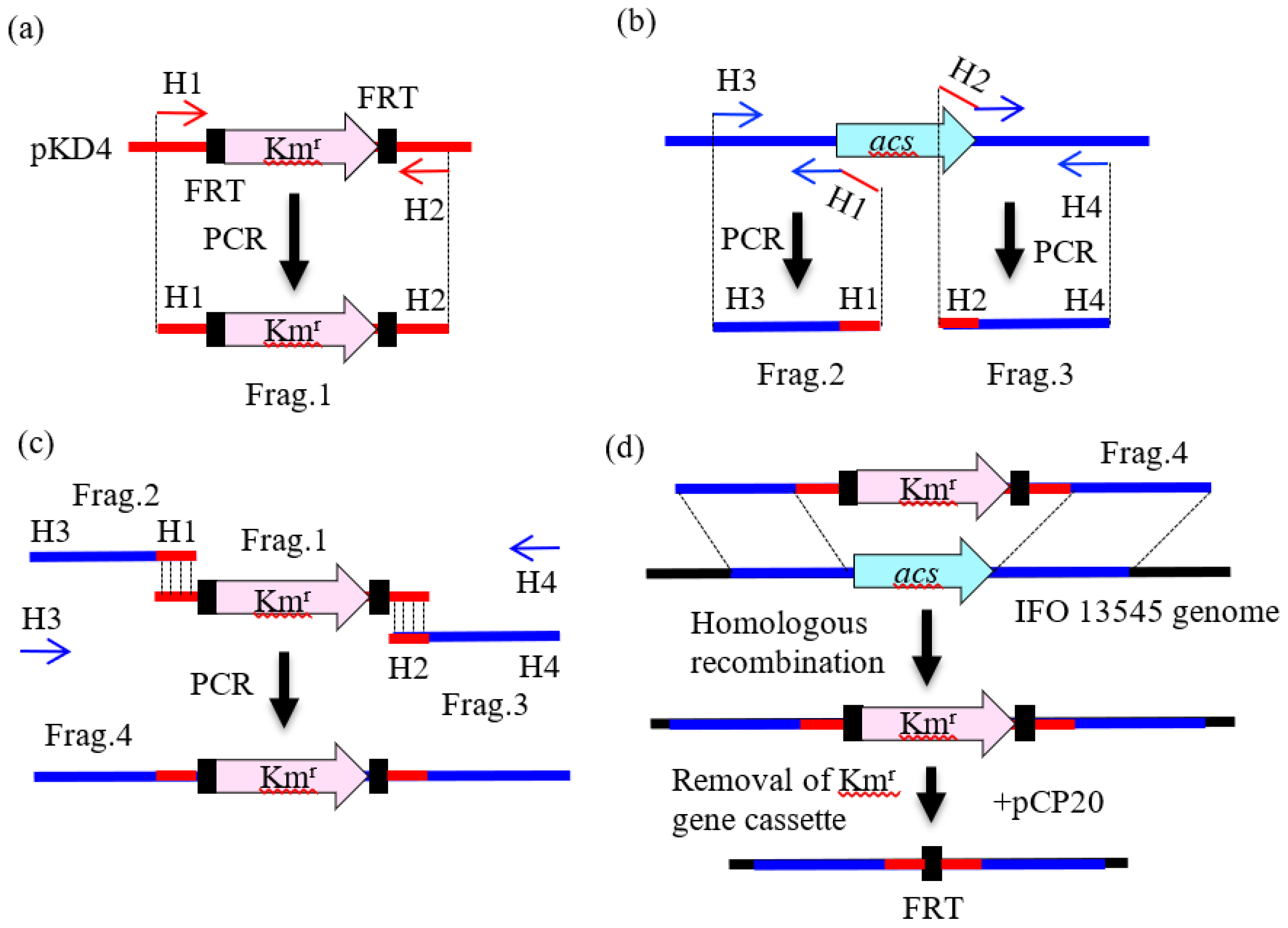 Polymers 10 00237 g002 Polymers 10 00237 g002