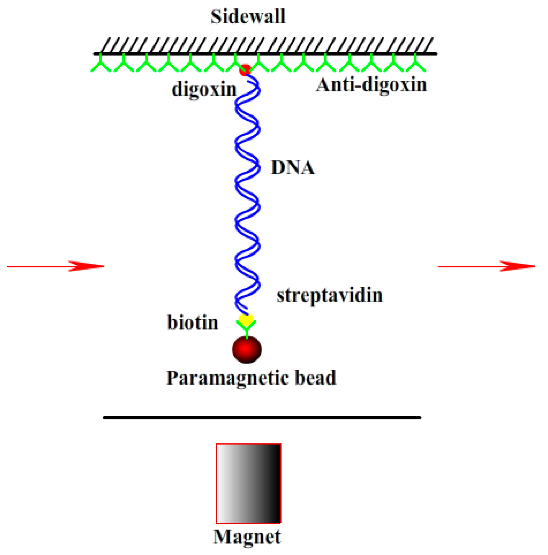 Polymers 10 00244 g001 Polymers 10 00244 g001