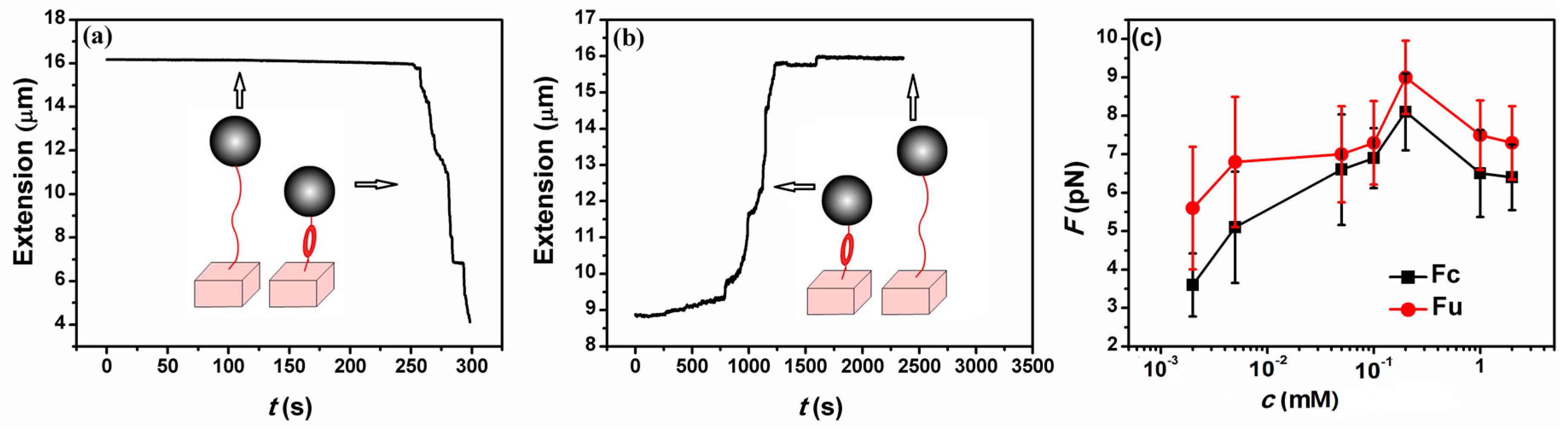 Polymers 10 00244 g006 Polymers 10 00244 g006