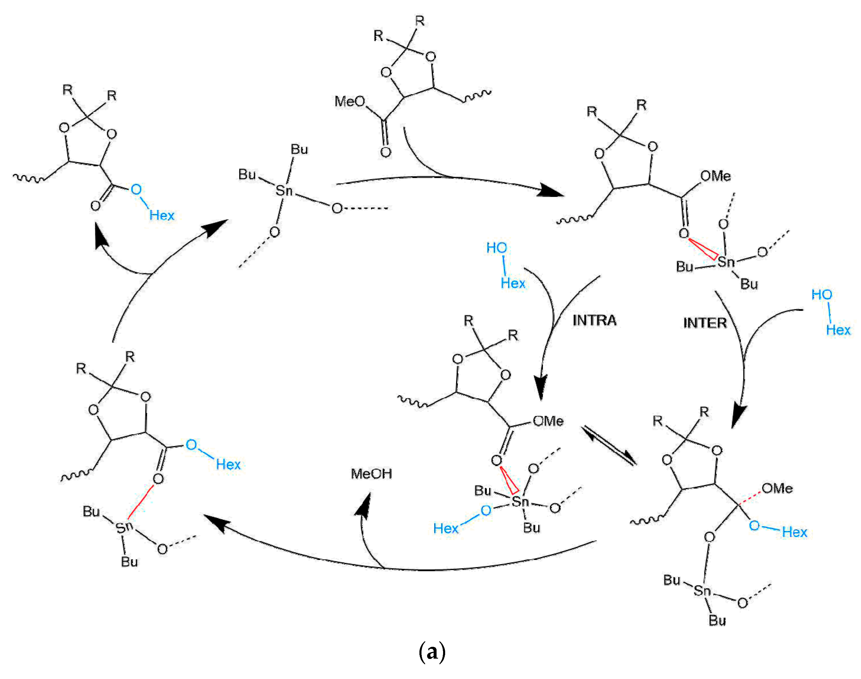 Polymers 10 00248 sch002a