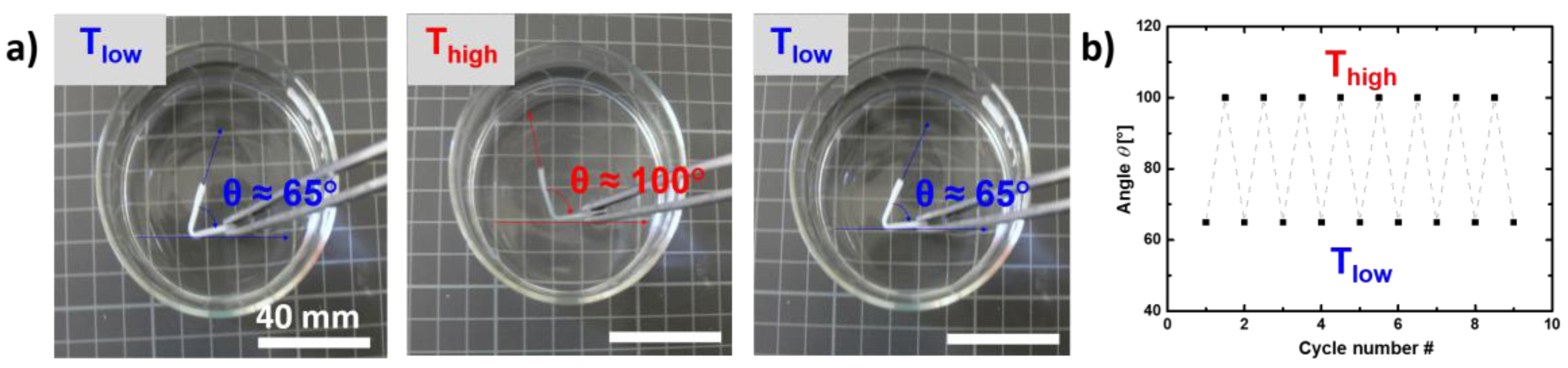 Polymers 10 00255 g003