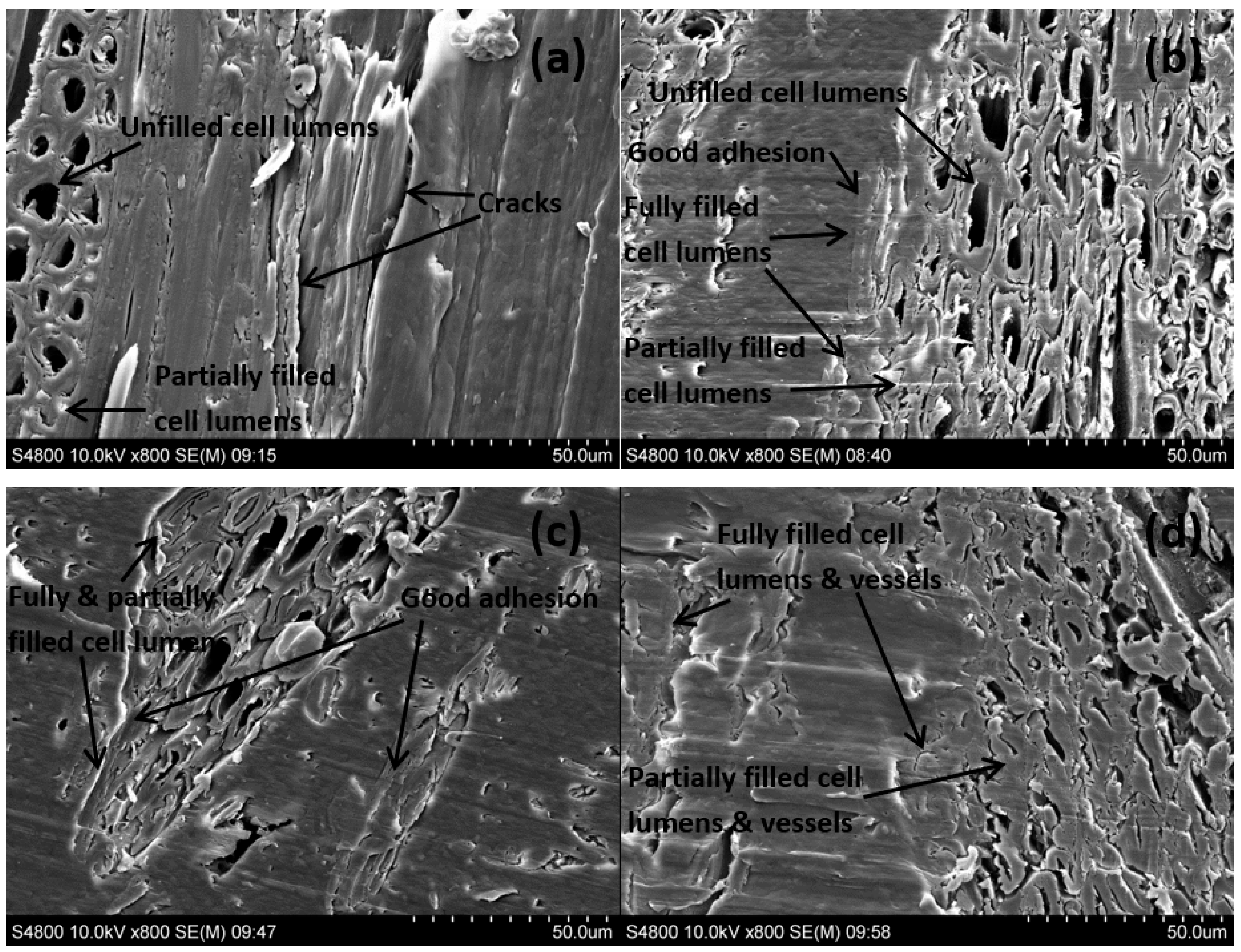 Polymers 10 00266 g006