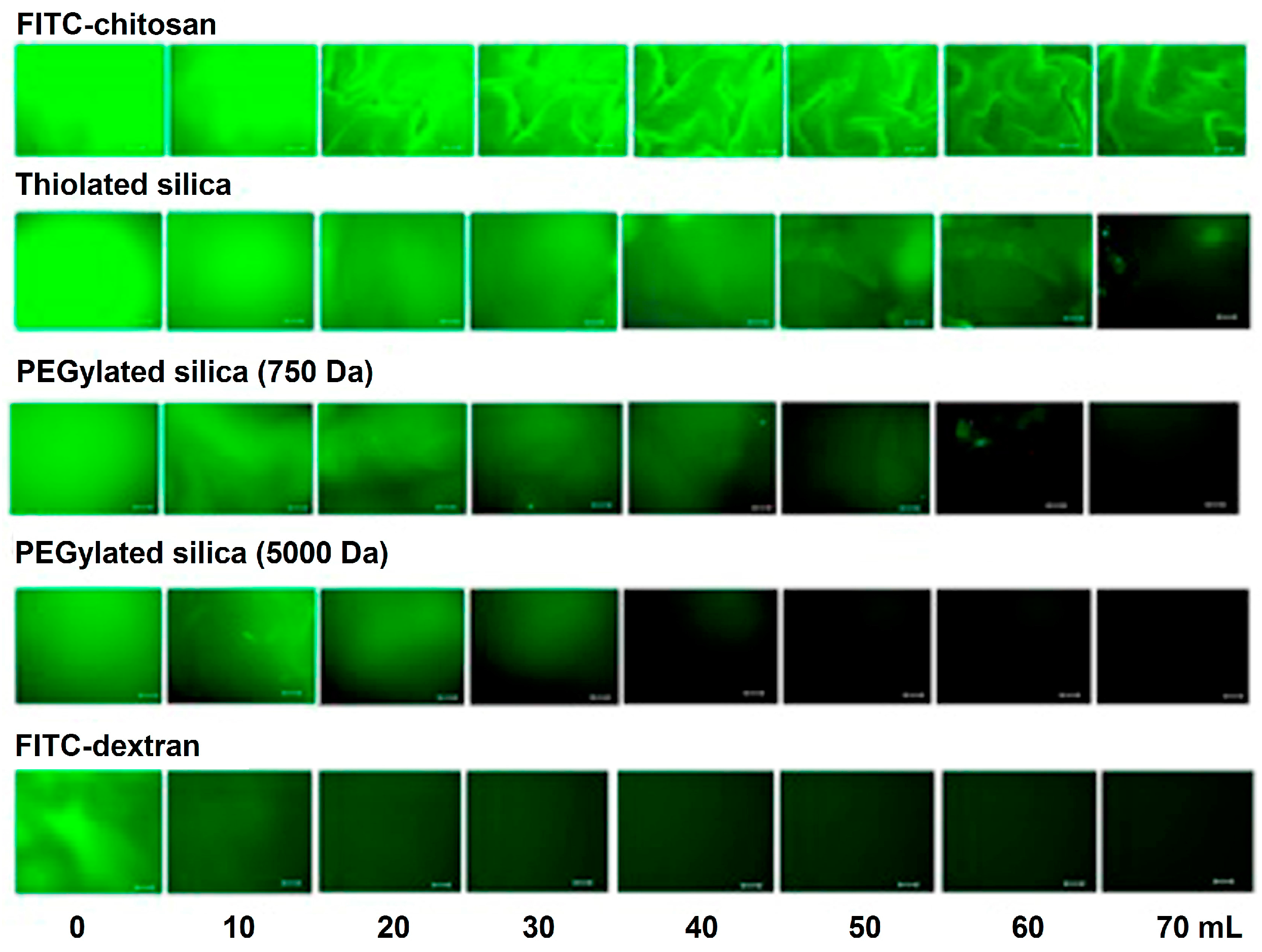 Polymers 10 00267 g003