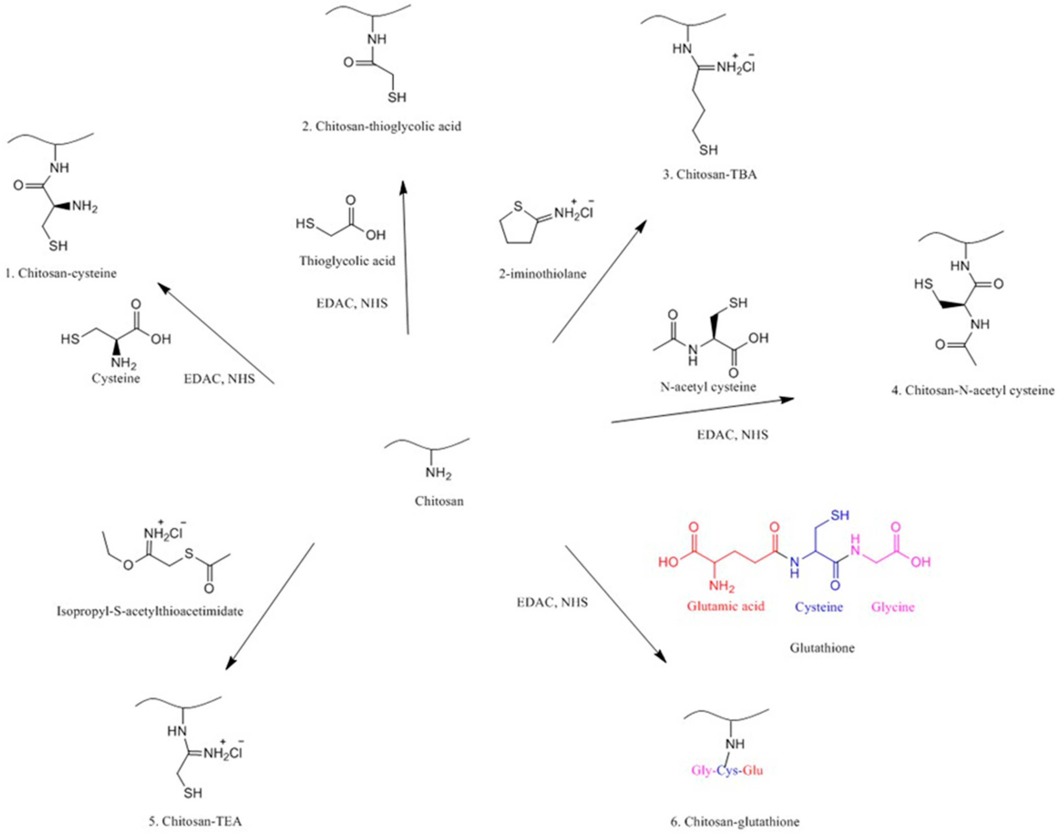 Polymers 10 00267 g008