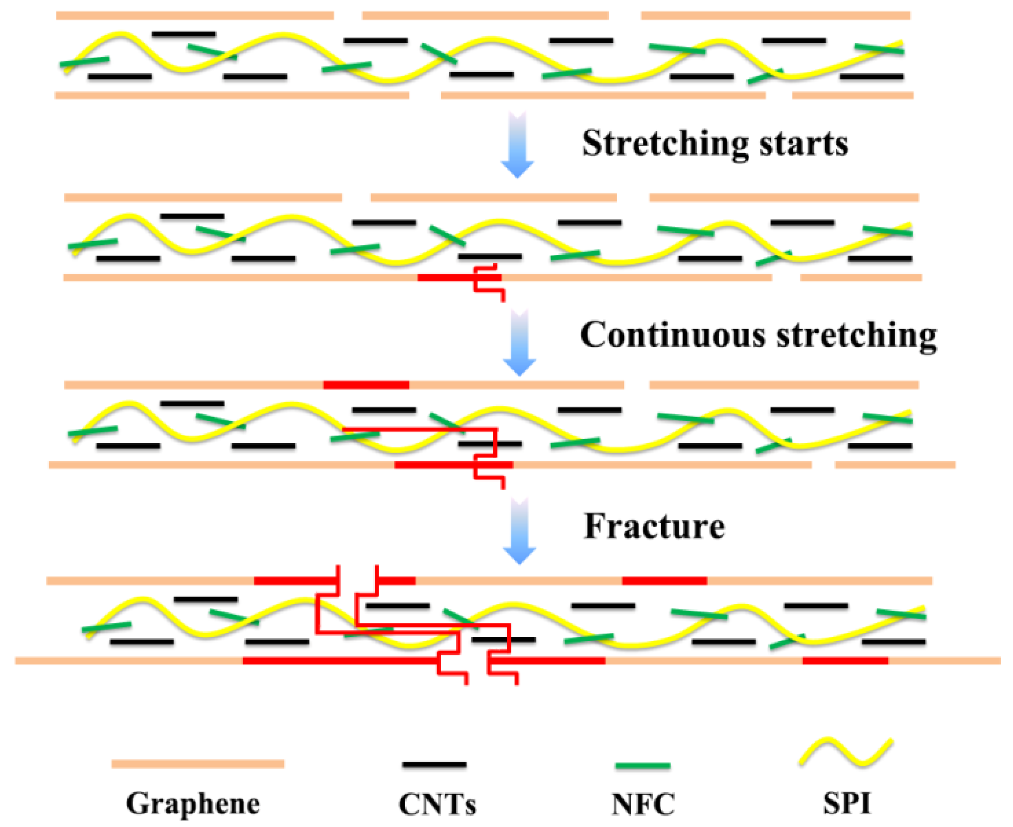 Polymers 10 00270 g007