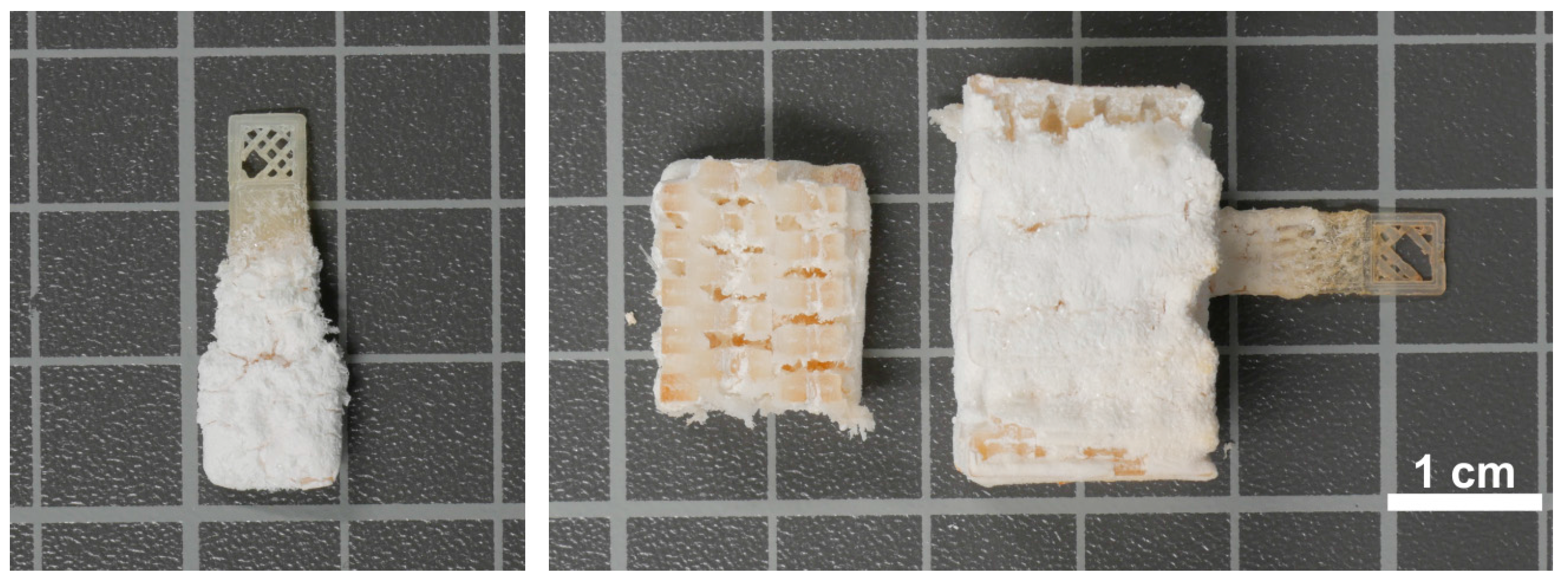 Polymers 10 00275 g005 Polymers 10 00275 g005