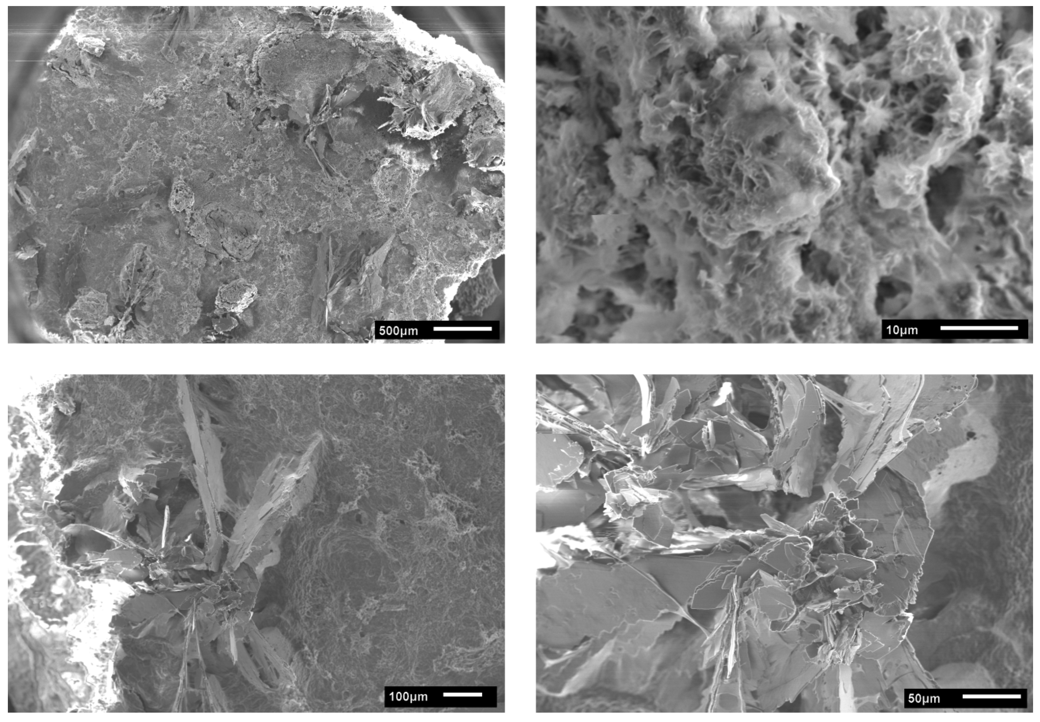 Polymers 10 00275 g006 Polymers 10 00275 g006