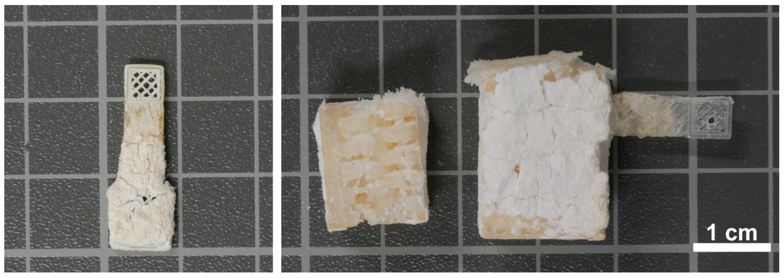 Polymers 10 00275 g008 Polymers 10 00275 g008