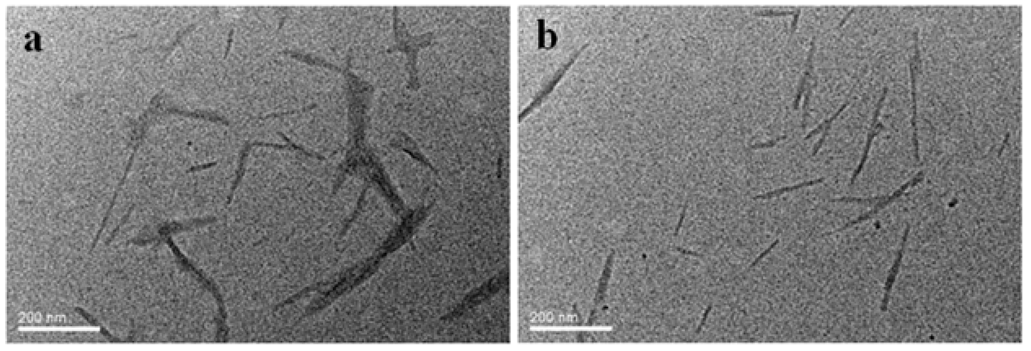 Polymers 10 00278 g001