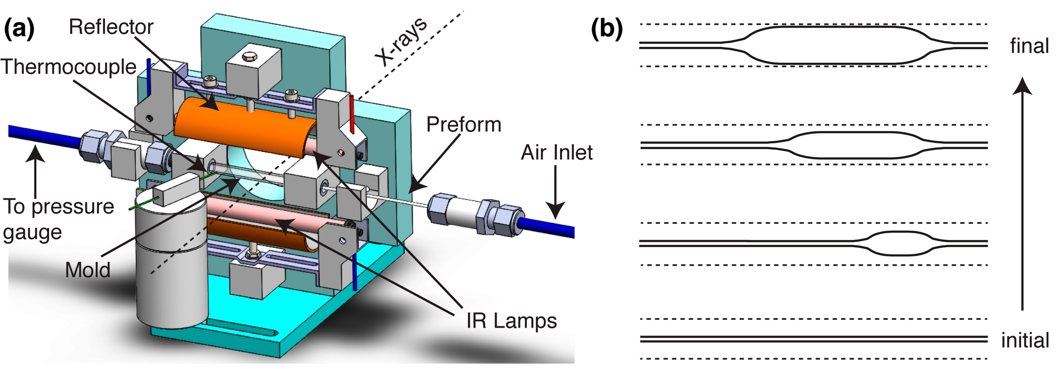 Polymers 10 00288 g001