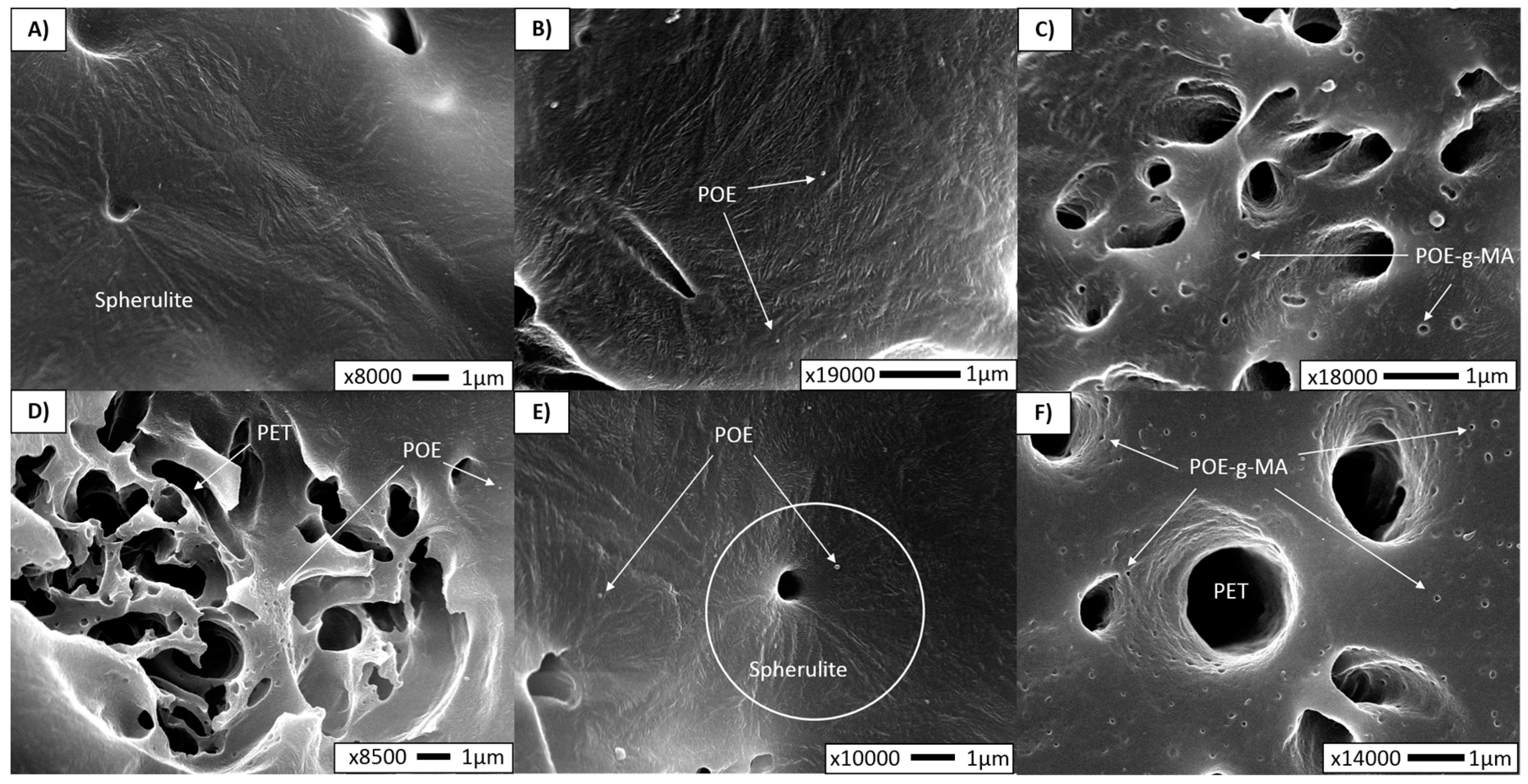Polymers 10 00291 g004 Polymers 10 00291 g004