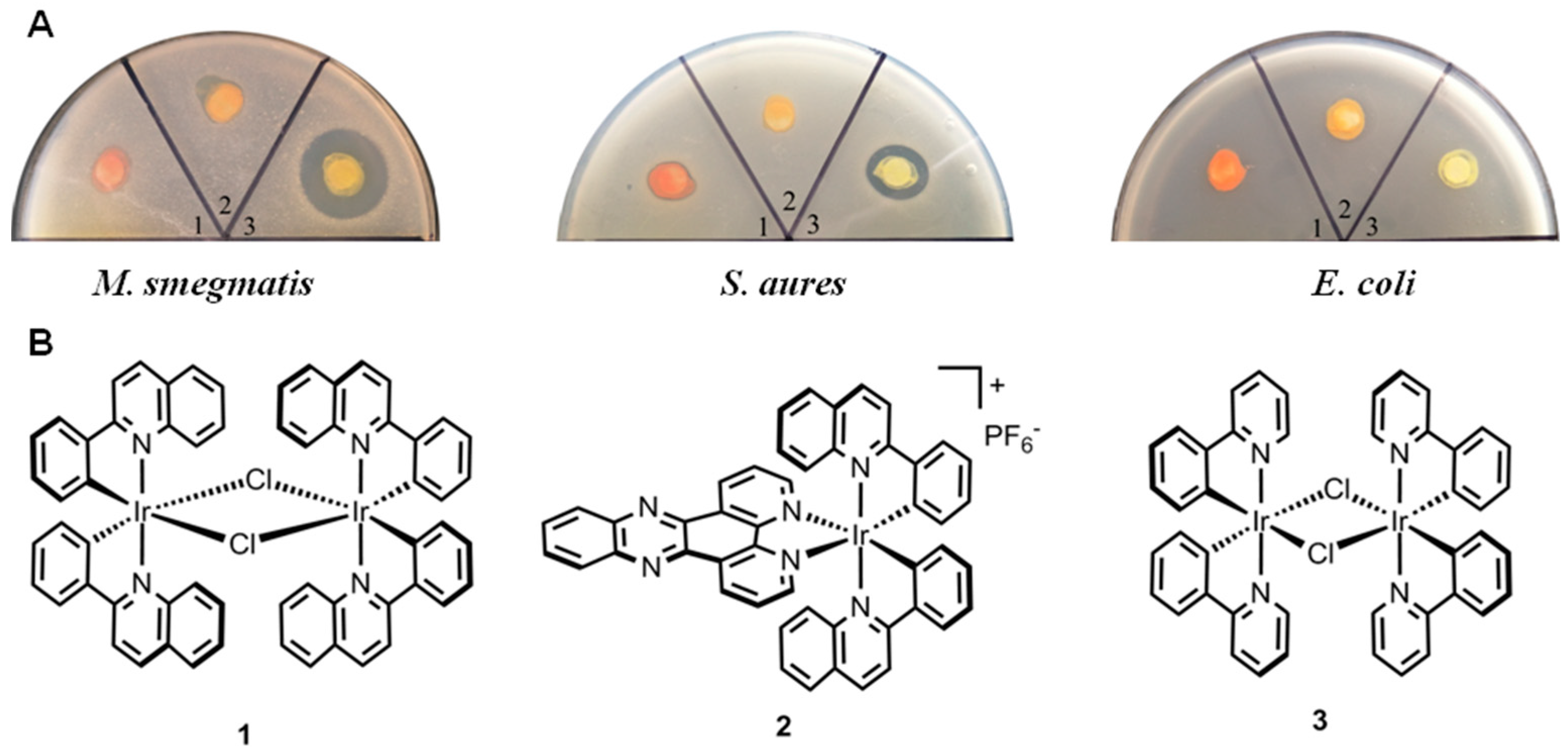 Polymers 10 00297 g001