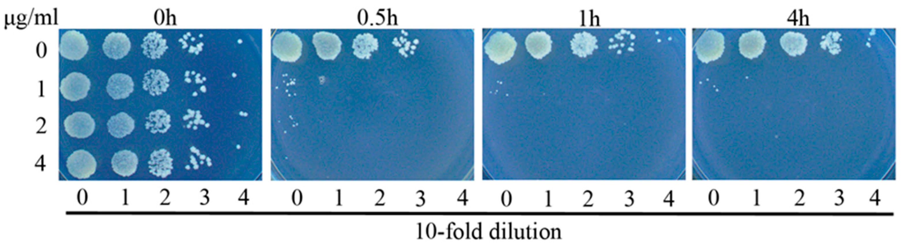 Polymers 10 00297 g002