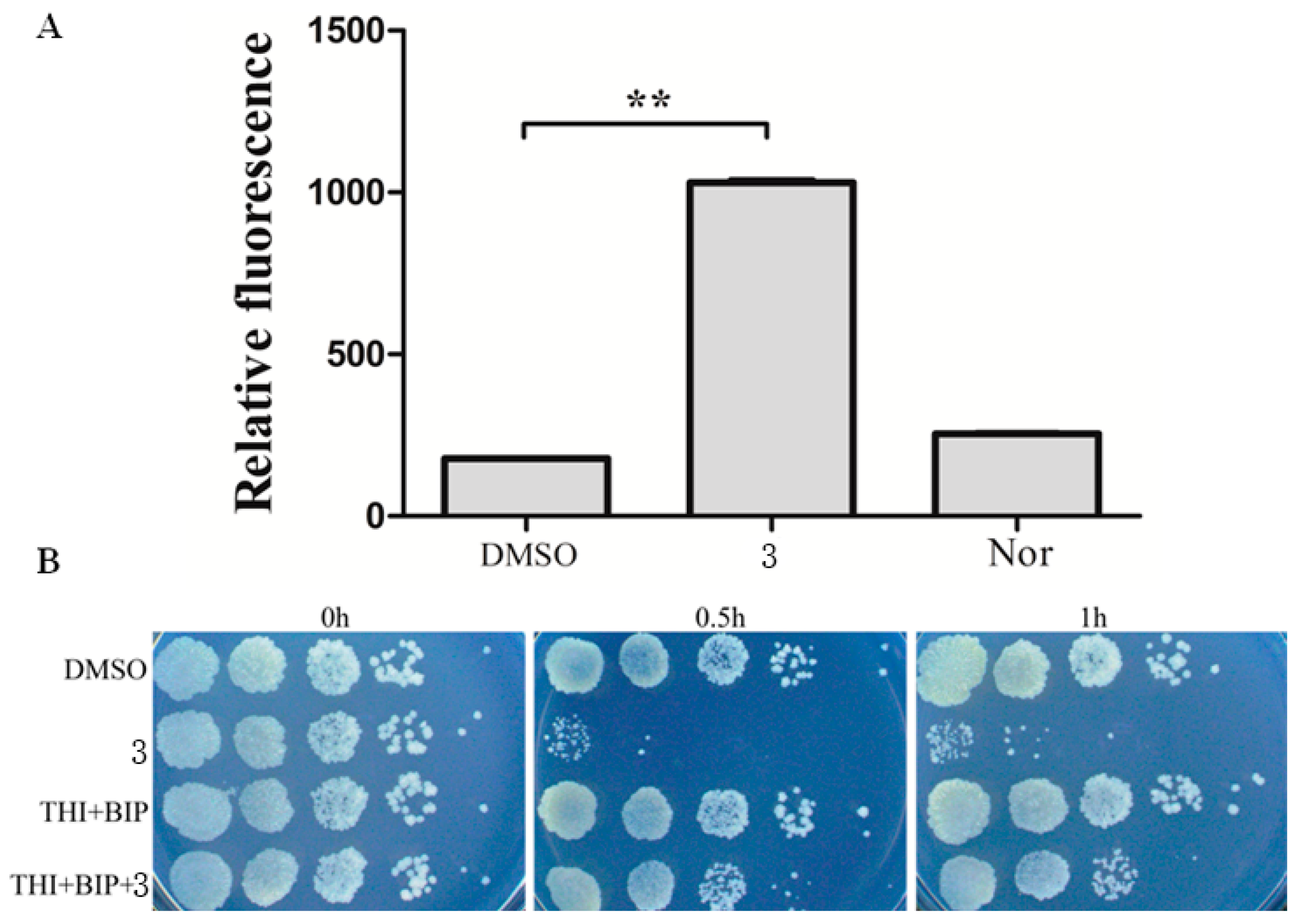 Polymers 10 00297 g005
