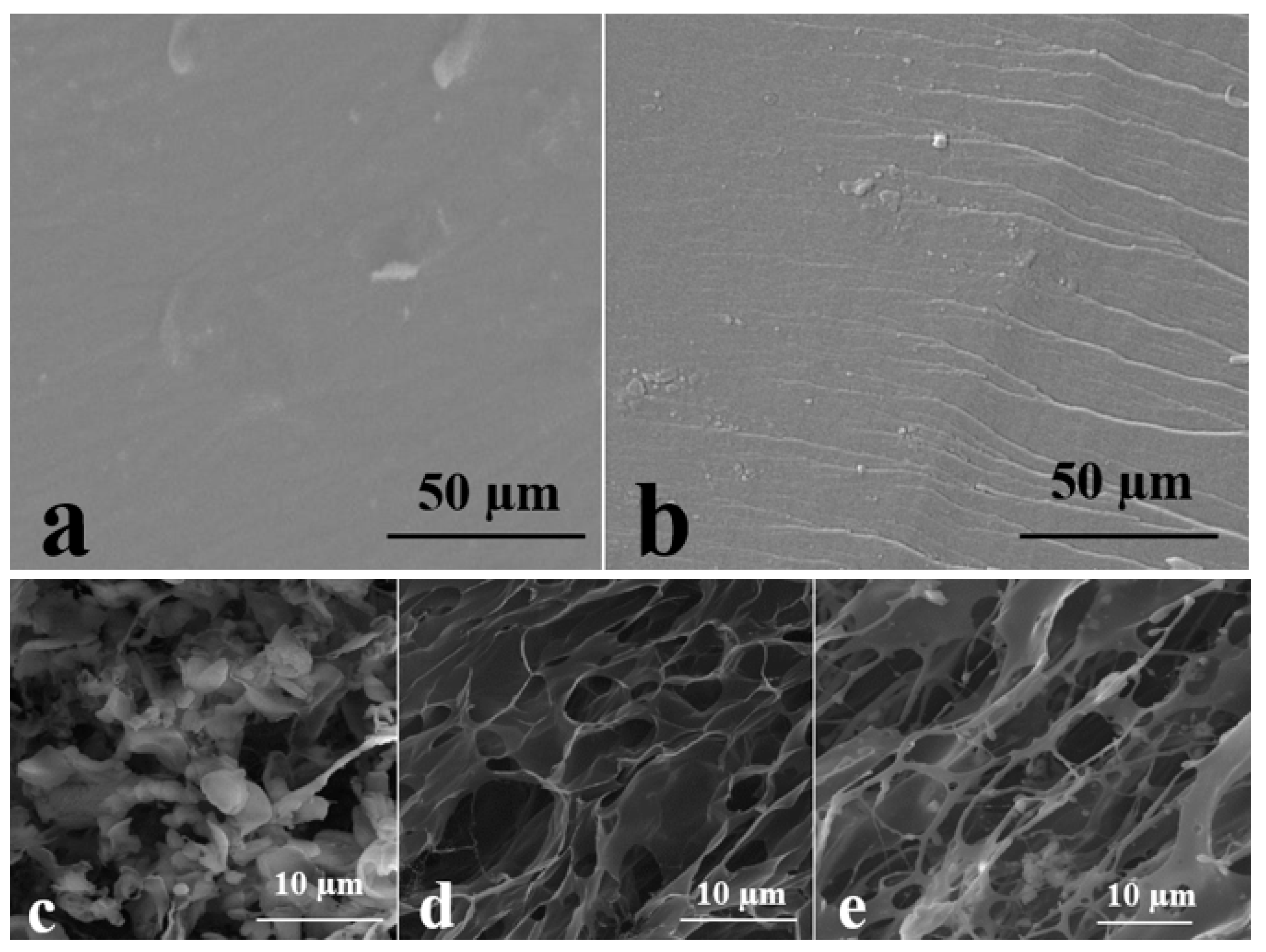 Polymers 10 00305 g004 Polymers 10 00305 g004