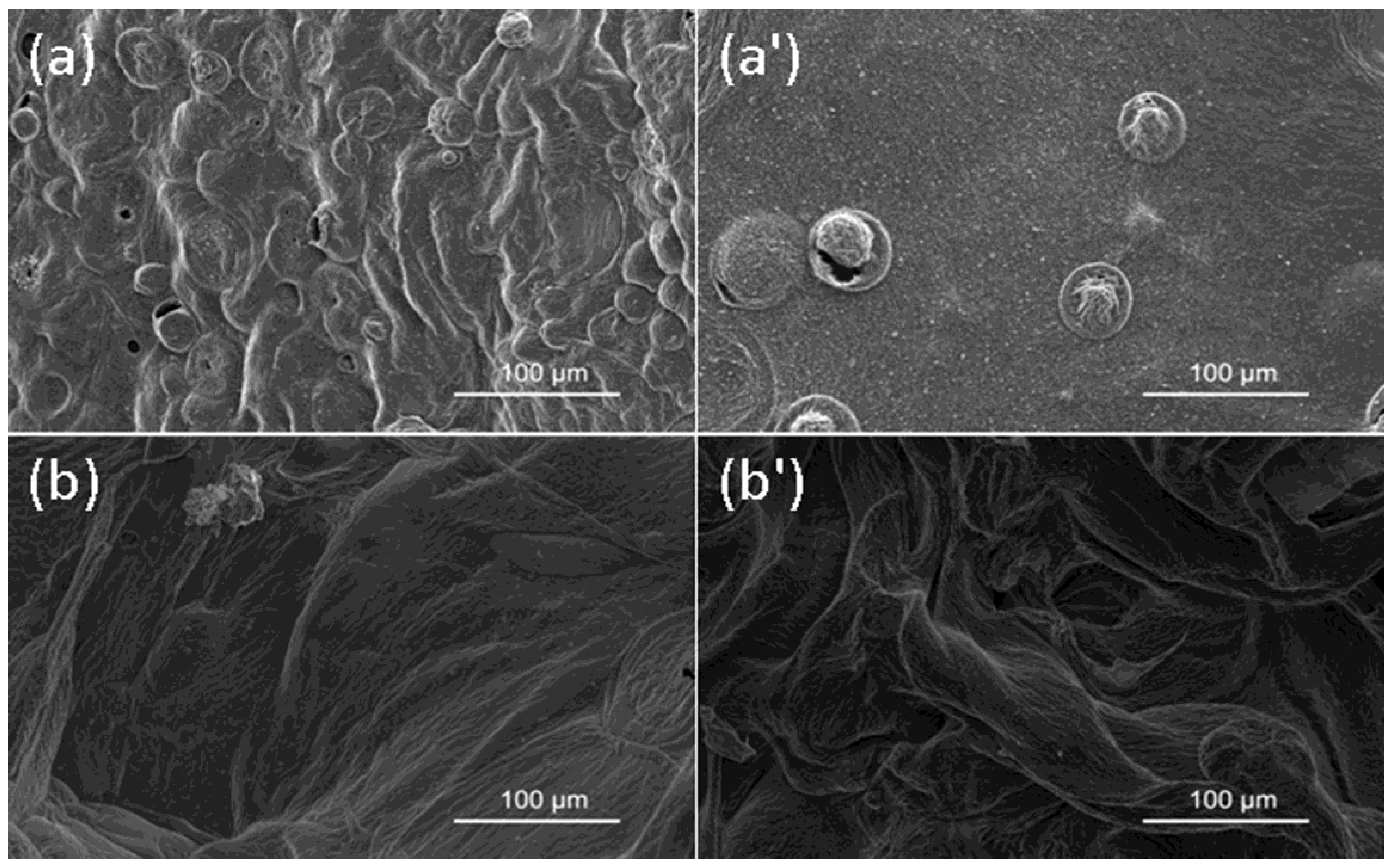Polymers 10 00312 g009