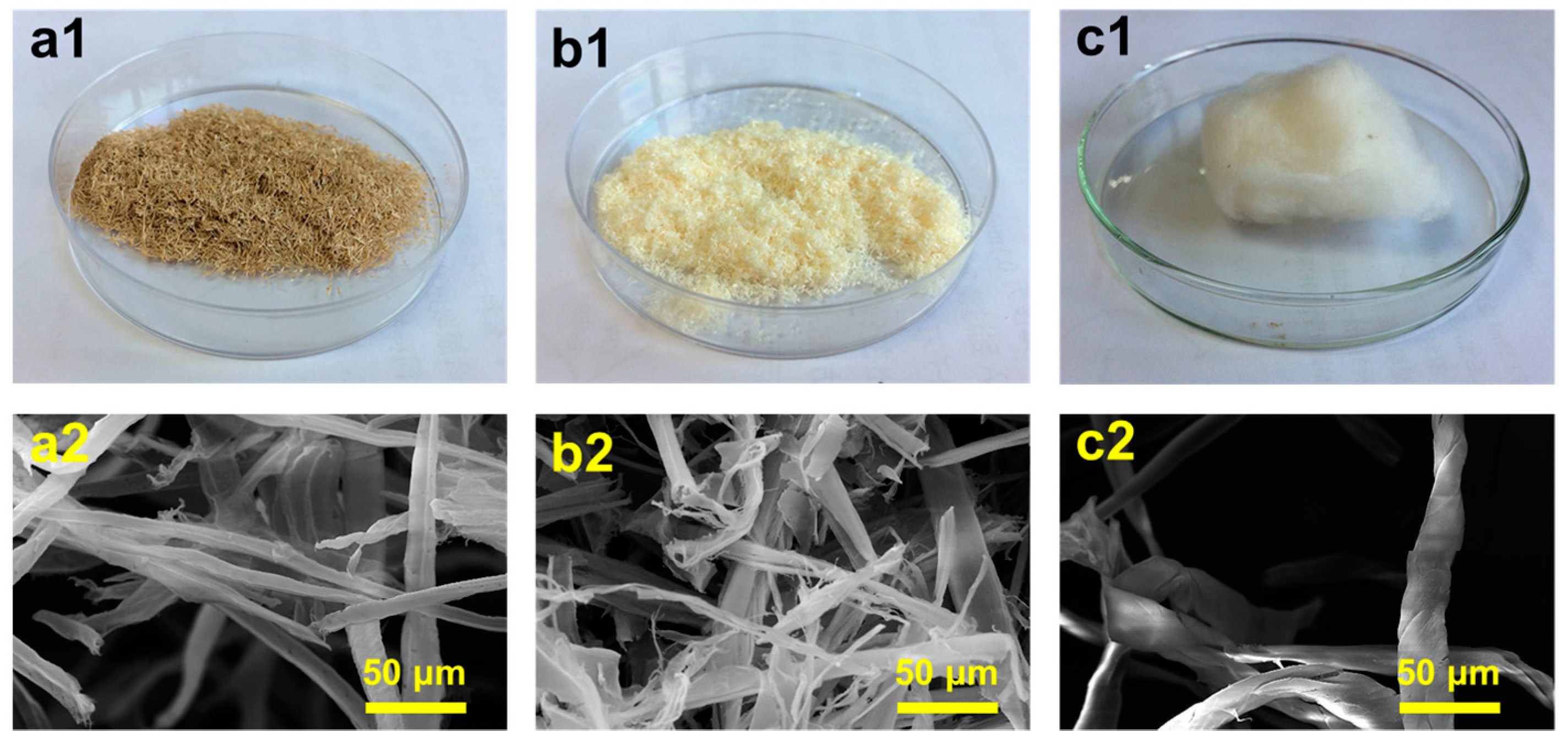 Polymers 10 00320 g001
