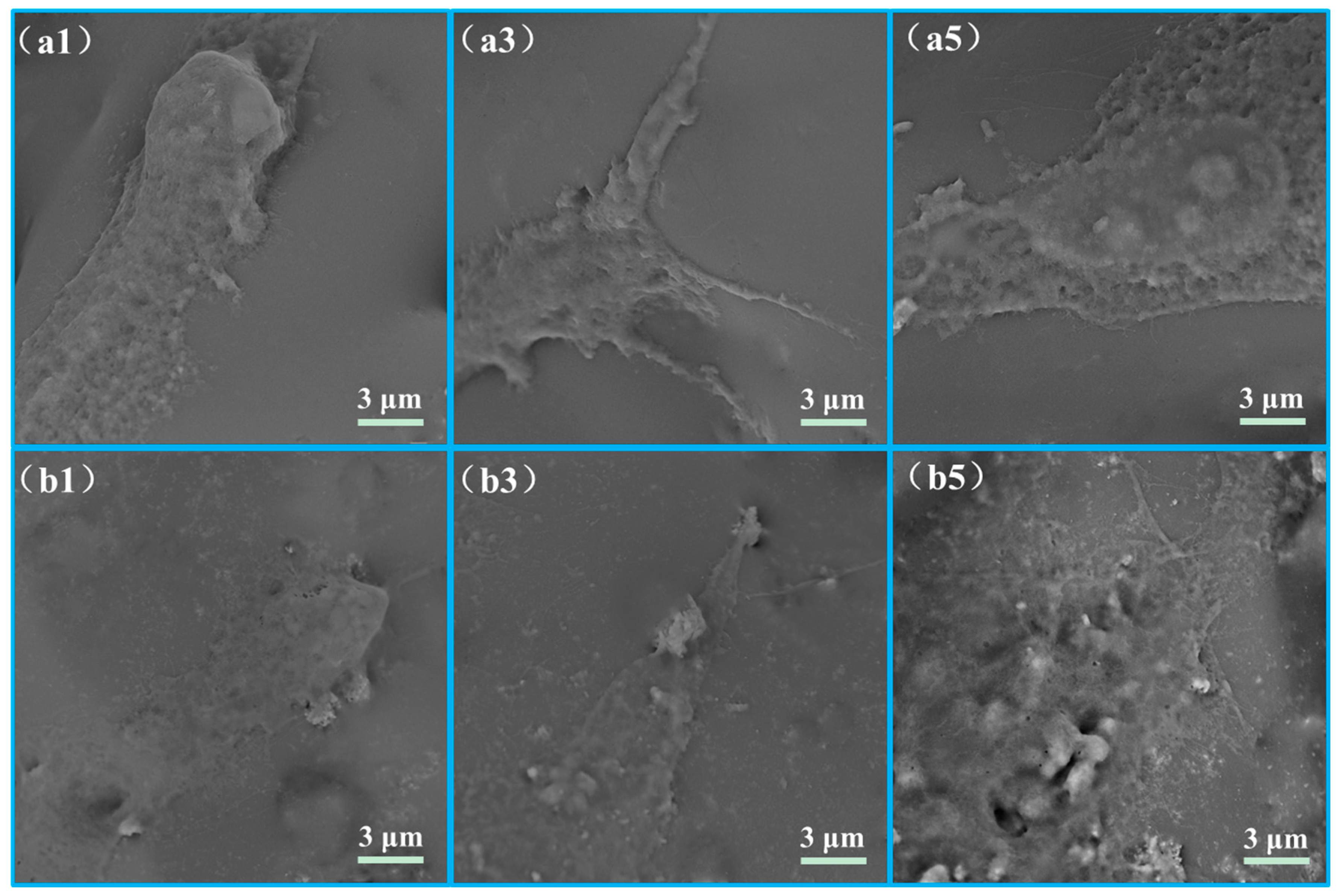 Polymers 10 00328 g010