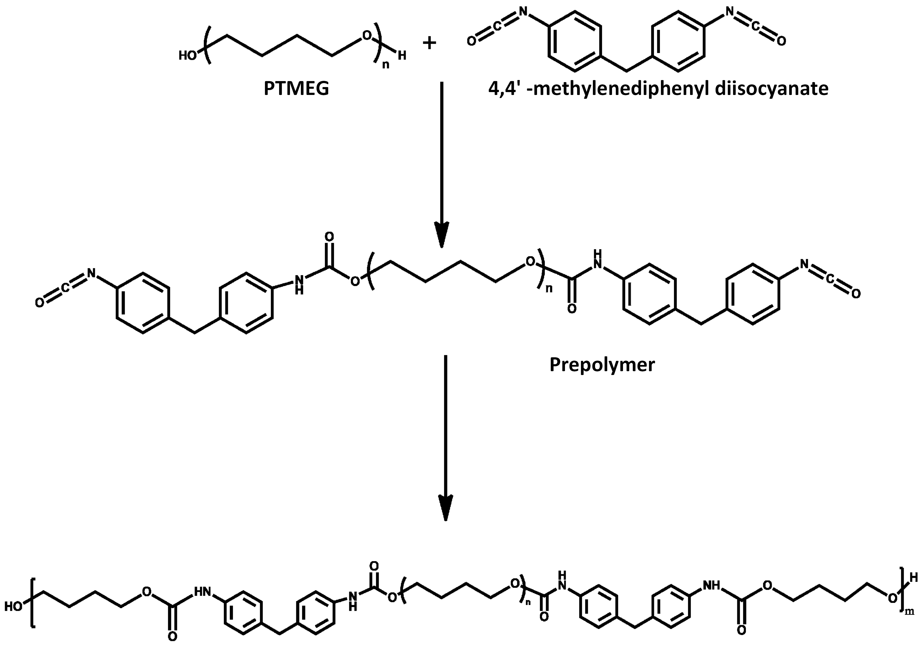 Polymers 10 00333 g001