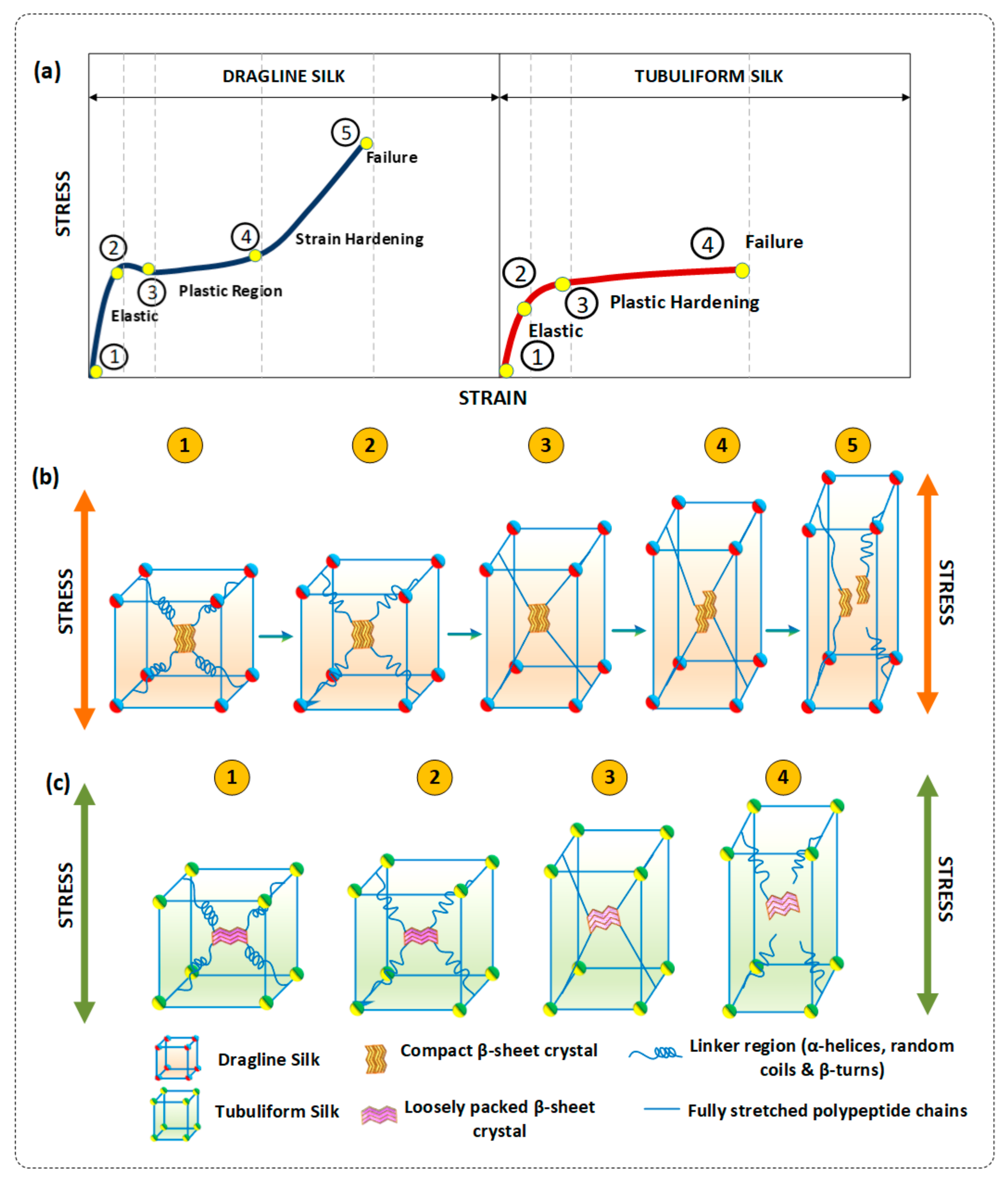 Polymers 10 00333 g008