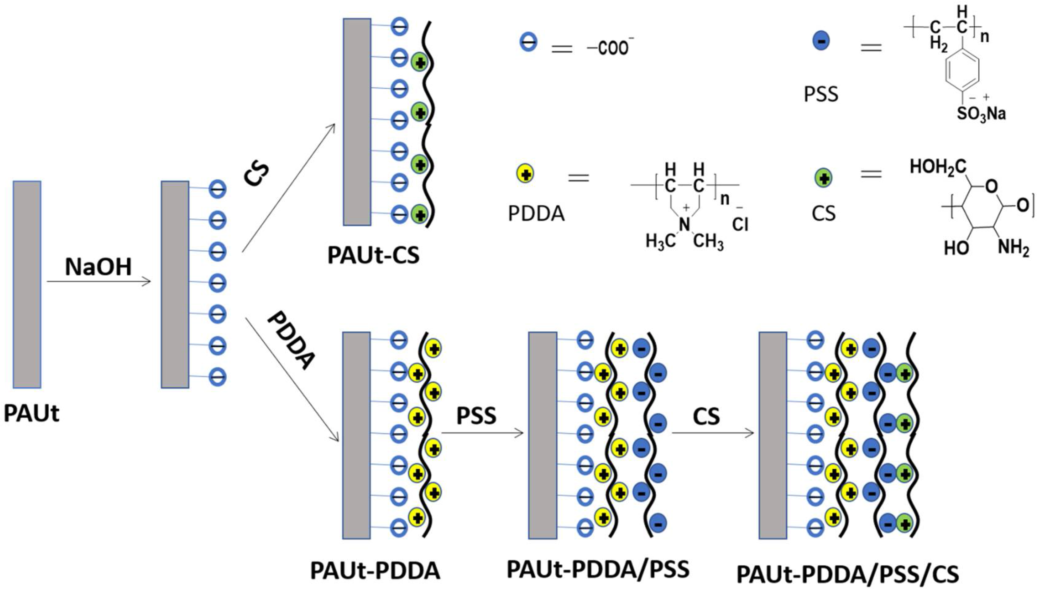 Polymers 10 00346 g001 Polymers 10 00346 g001