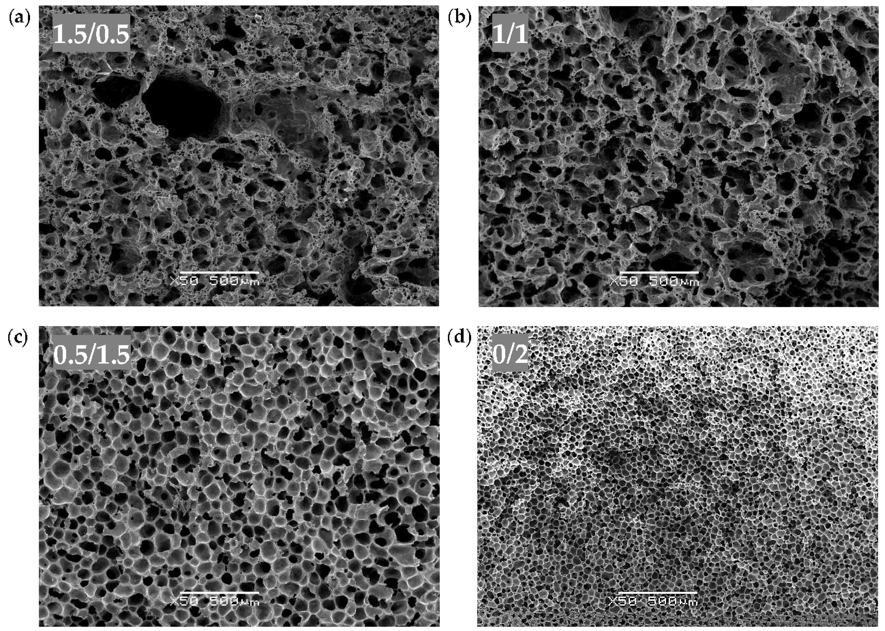 Polymers 10 00348 g002 Polymers 10 00348 g002