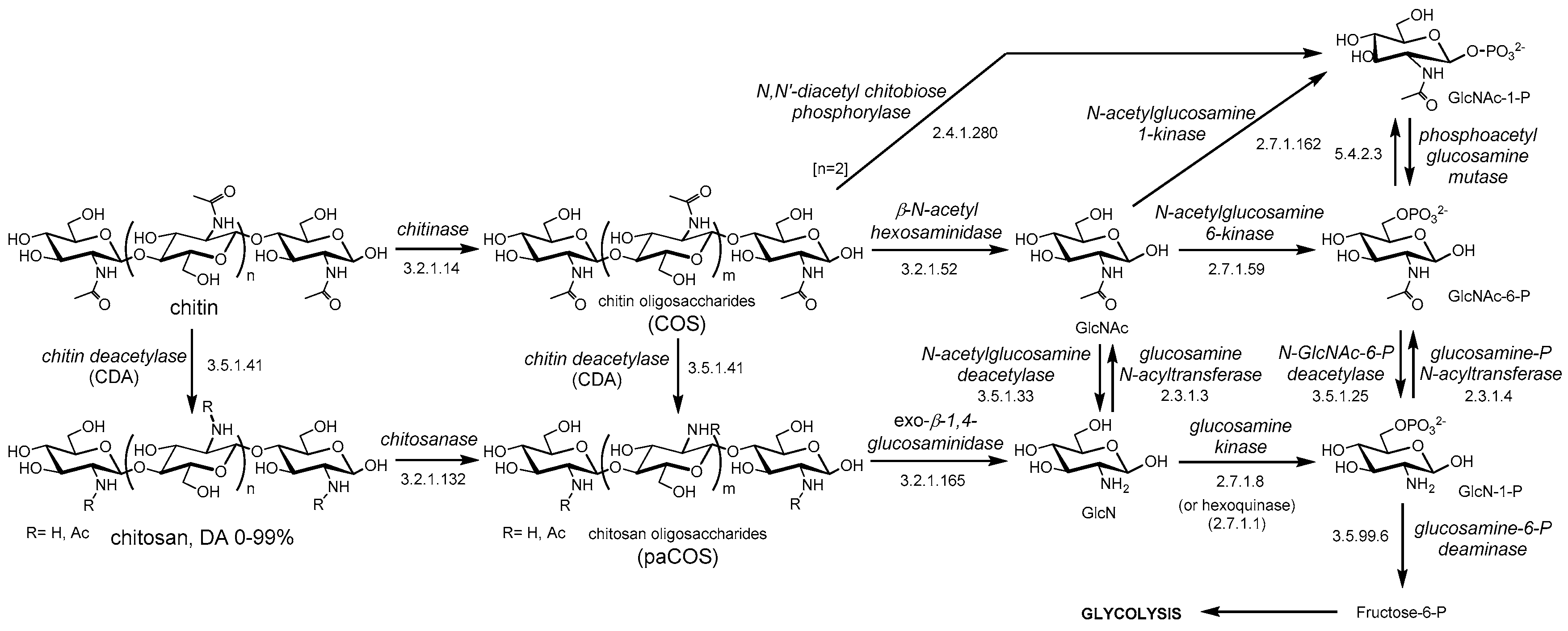 Polymers 10 00352 g001