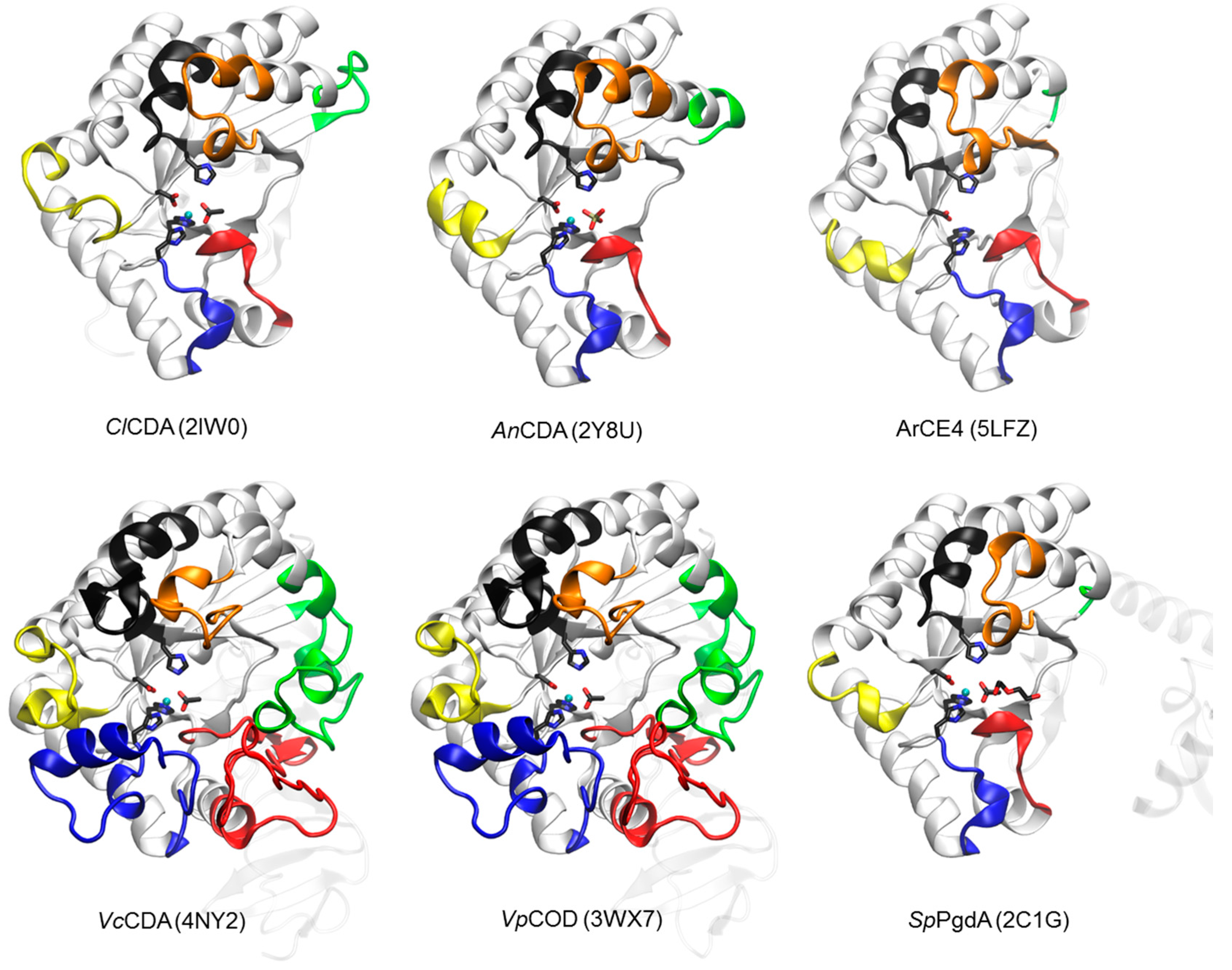 Polymers 10 00352 g002