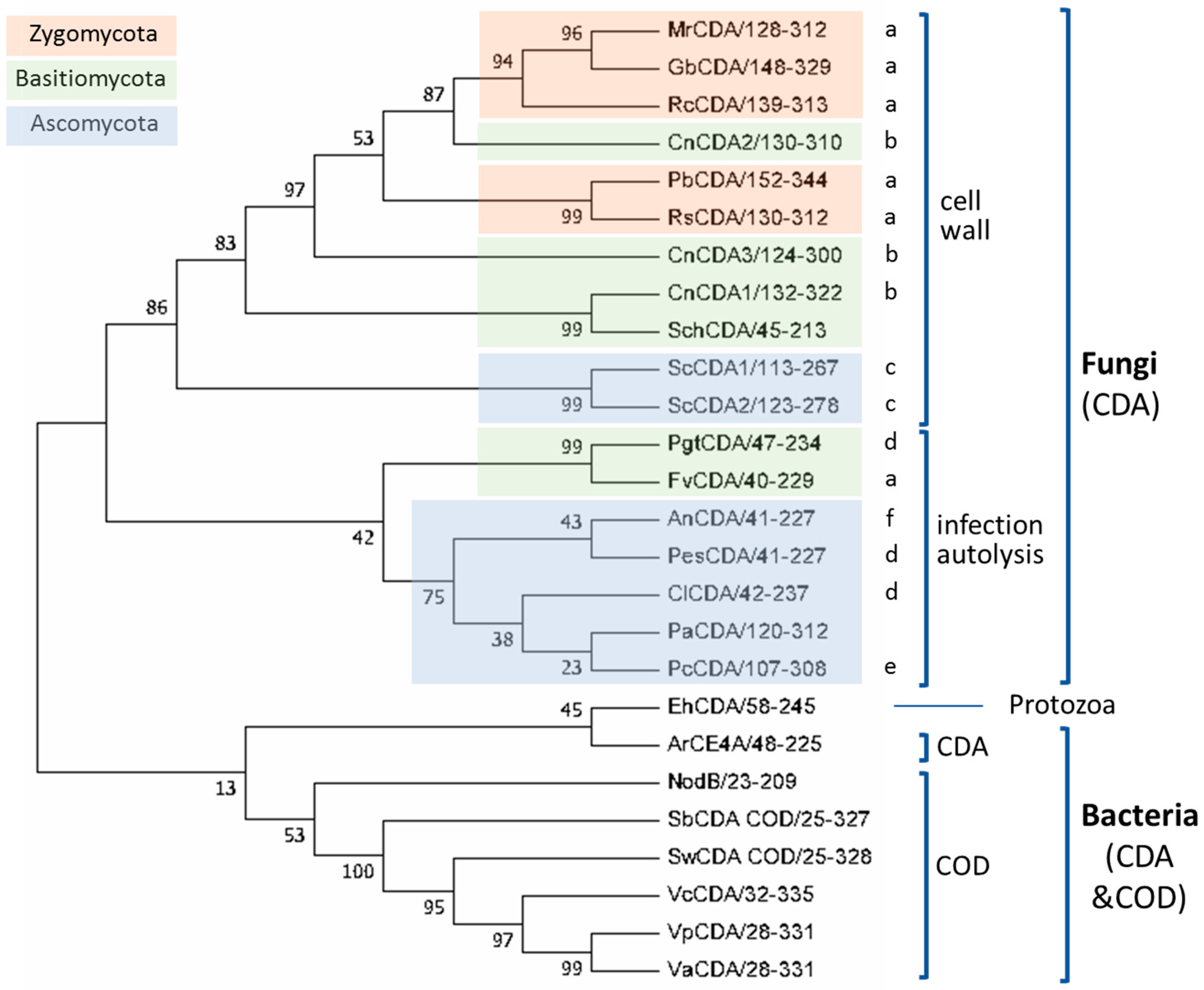 Polymers 10 00352 g004