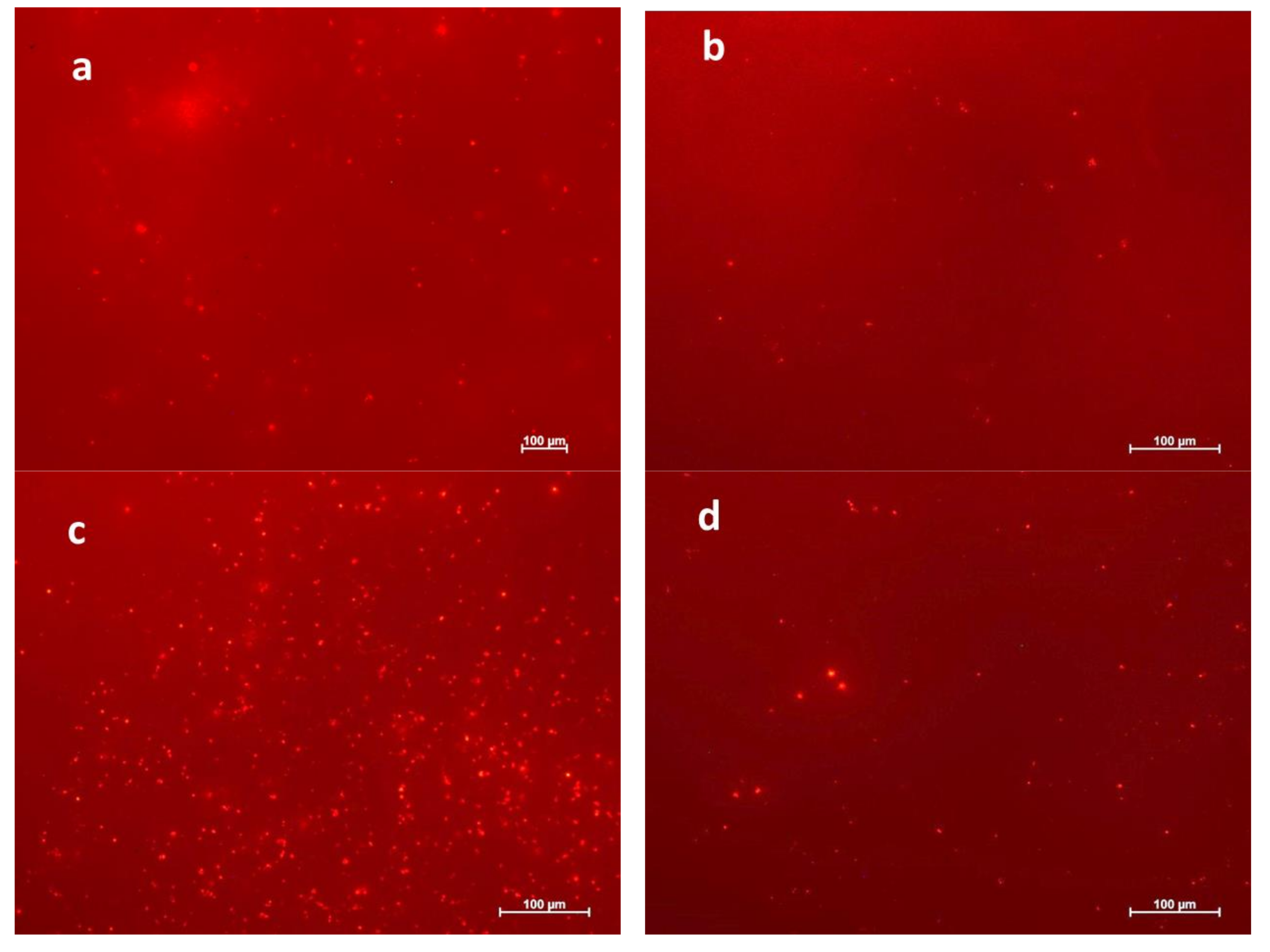 Polymers 10 00355 g005