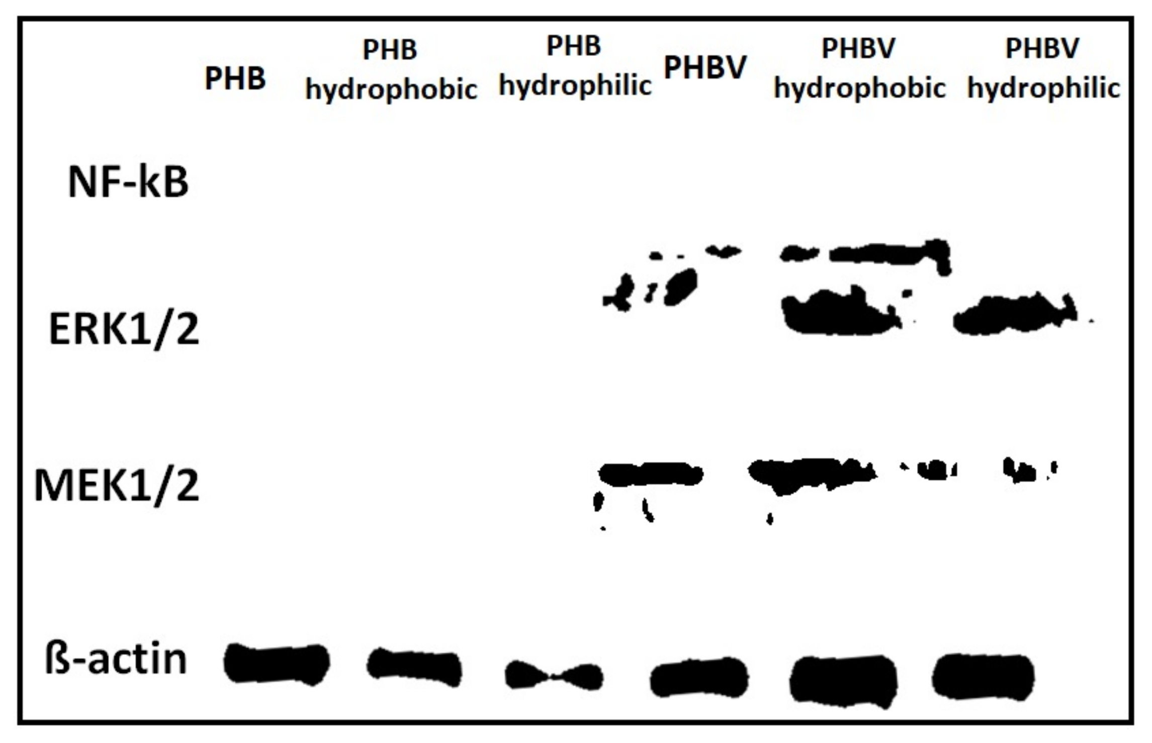 Polymers 10 00355 g008