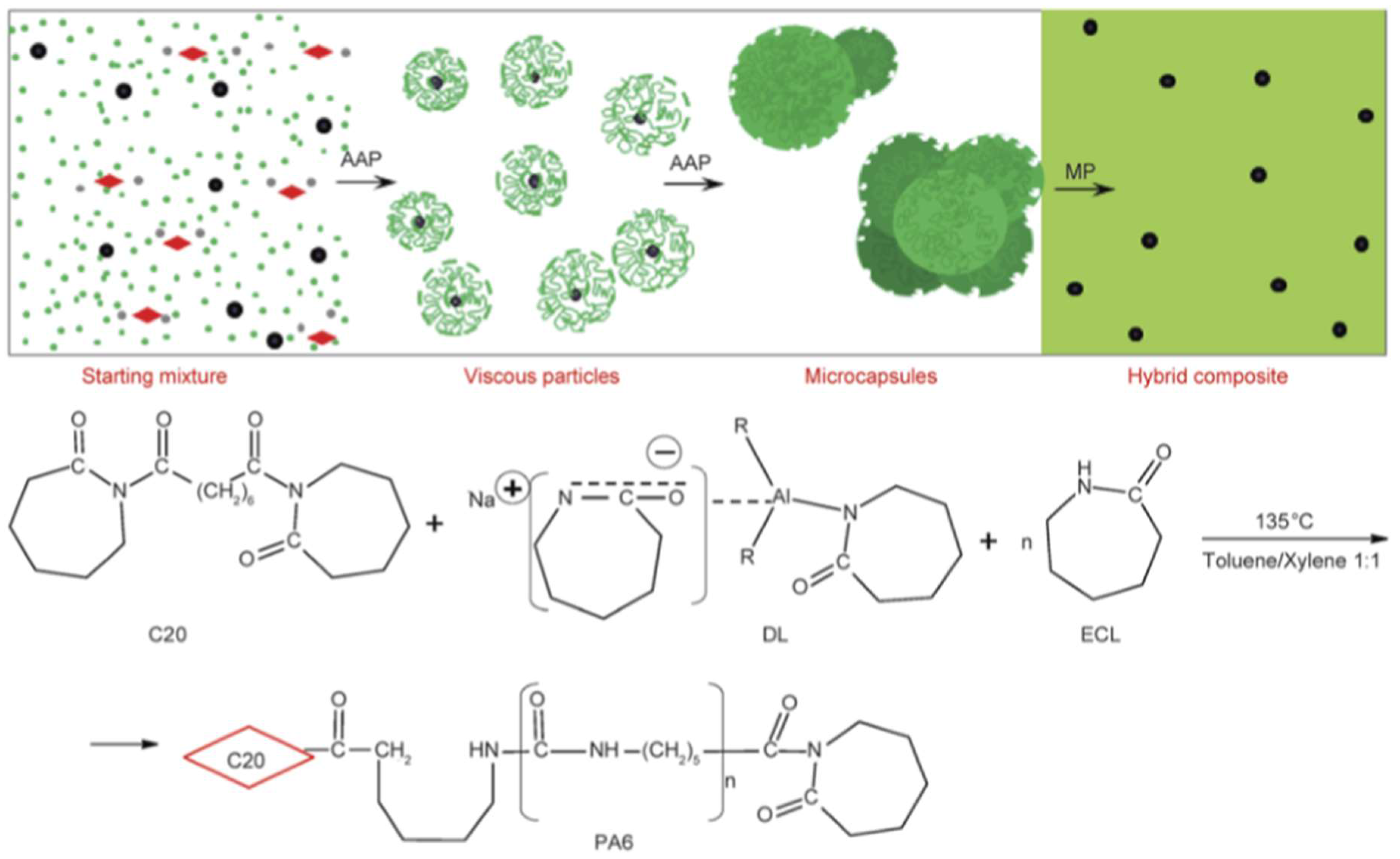 Polymers 10 00357 g007