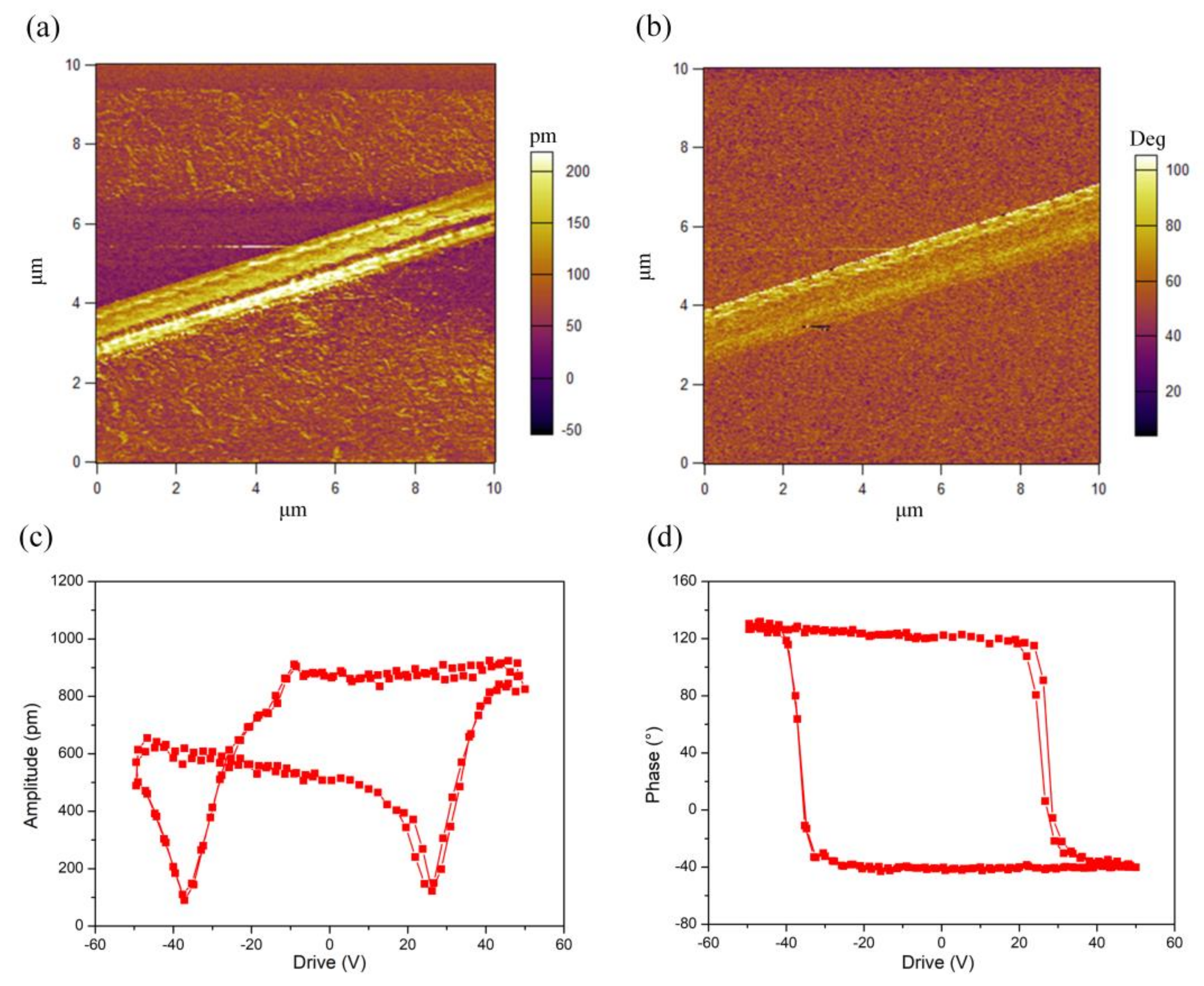 Polymers 10 00364 g003