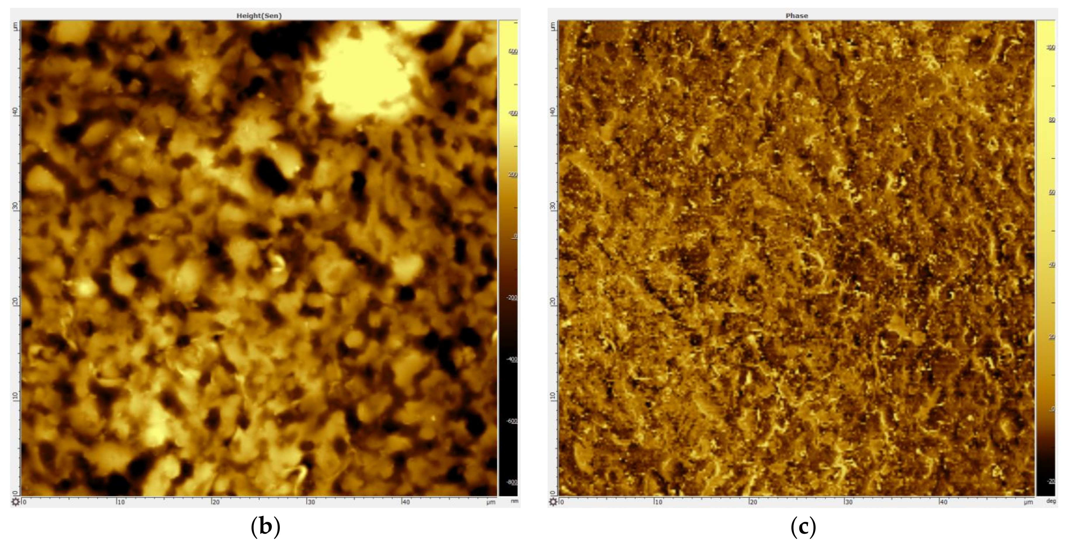 Polymers 10 00366 g002b Polymers 10 00366 g002b