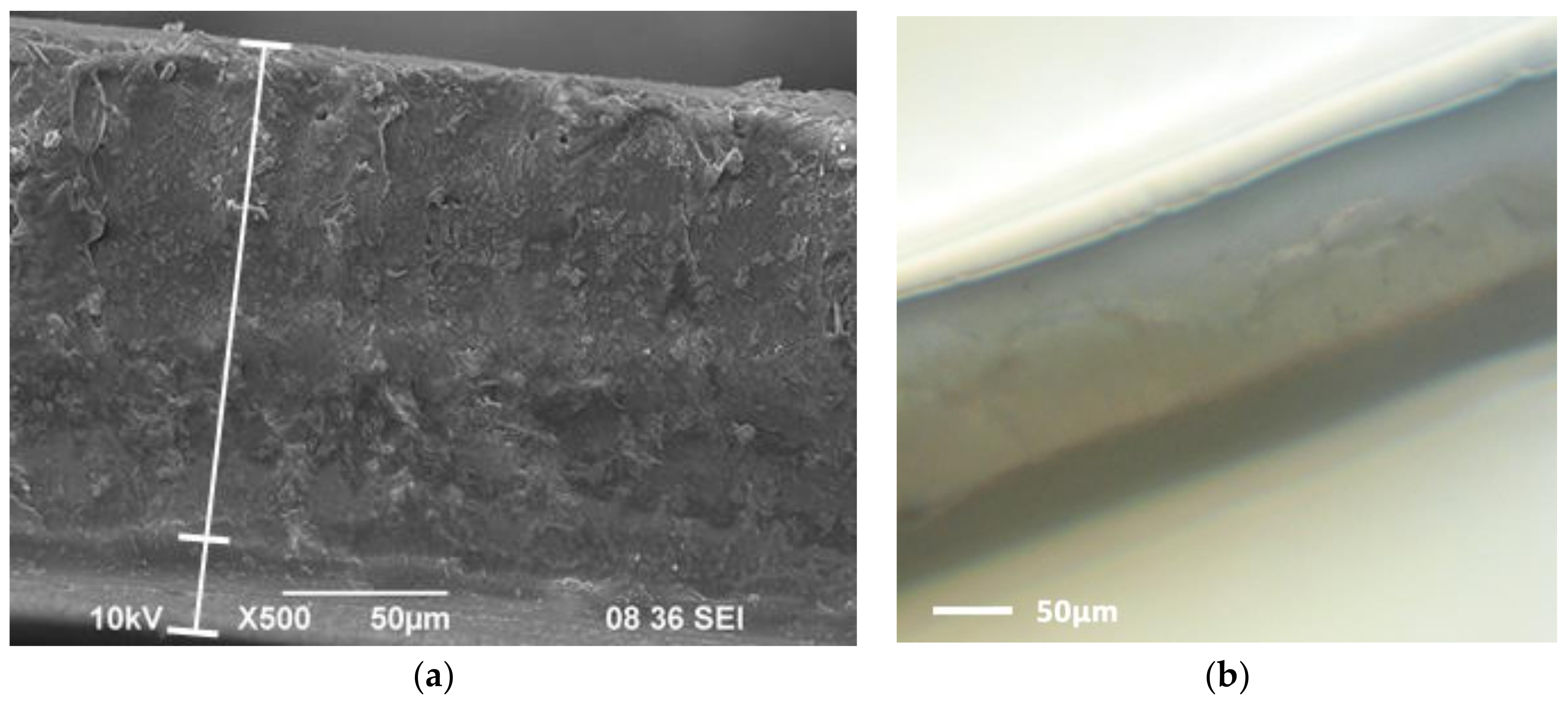 Polymers 10 00366 g004 Polymers 10 00366 g004