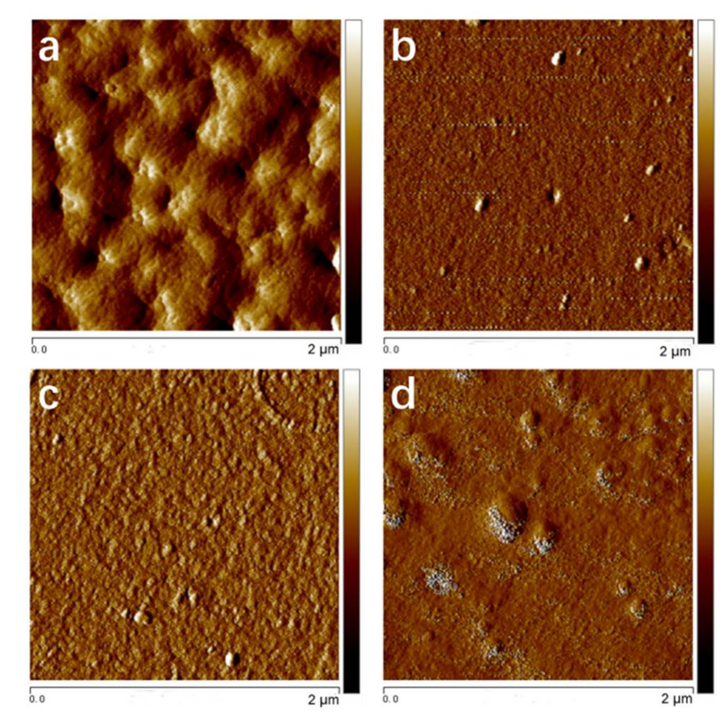 Polymers 10 00369 g002
