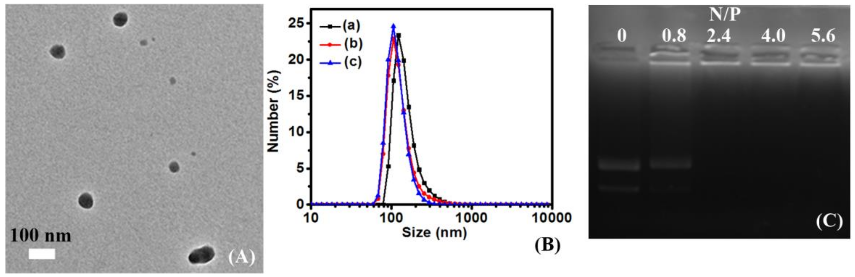 Polymers 10 00379 g004