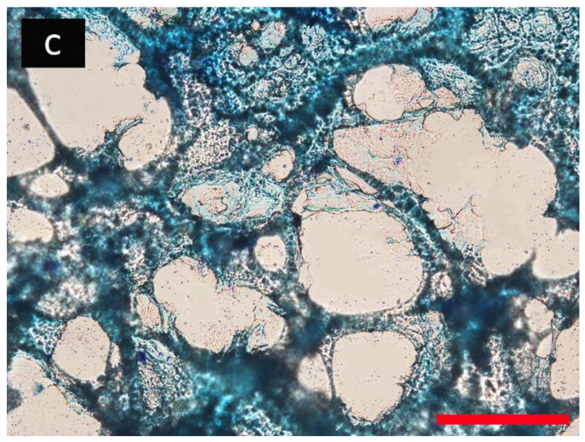Polymers 10 00380 g003b