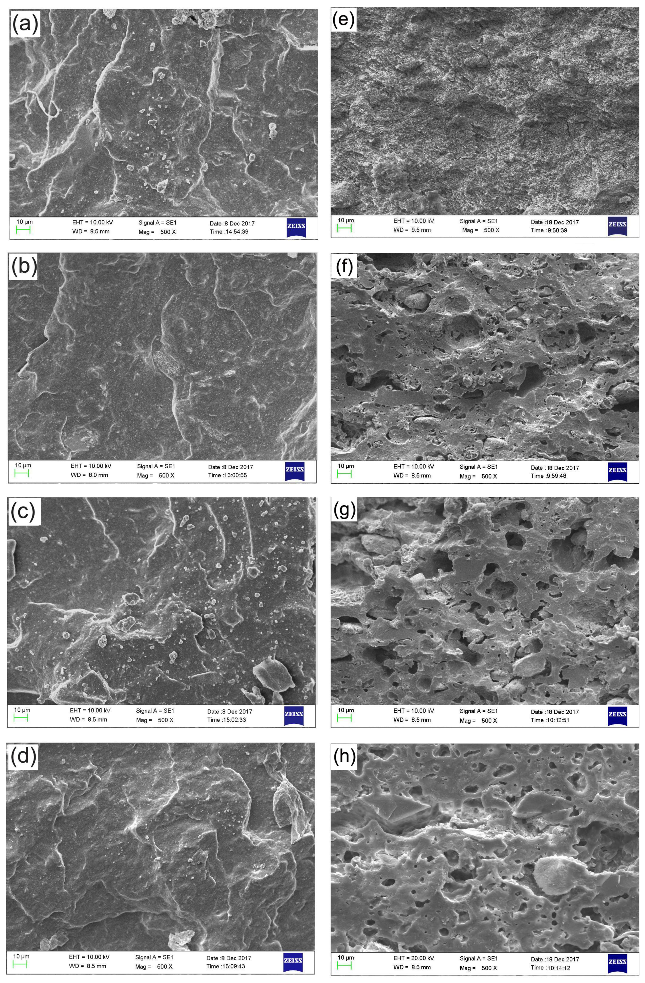 Polymers 10 00388 g008 Polymers 10 00388 g008
