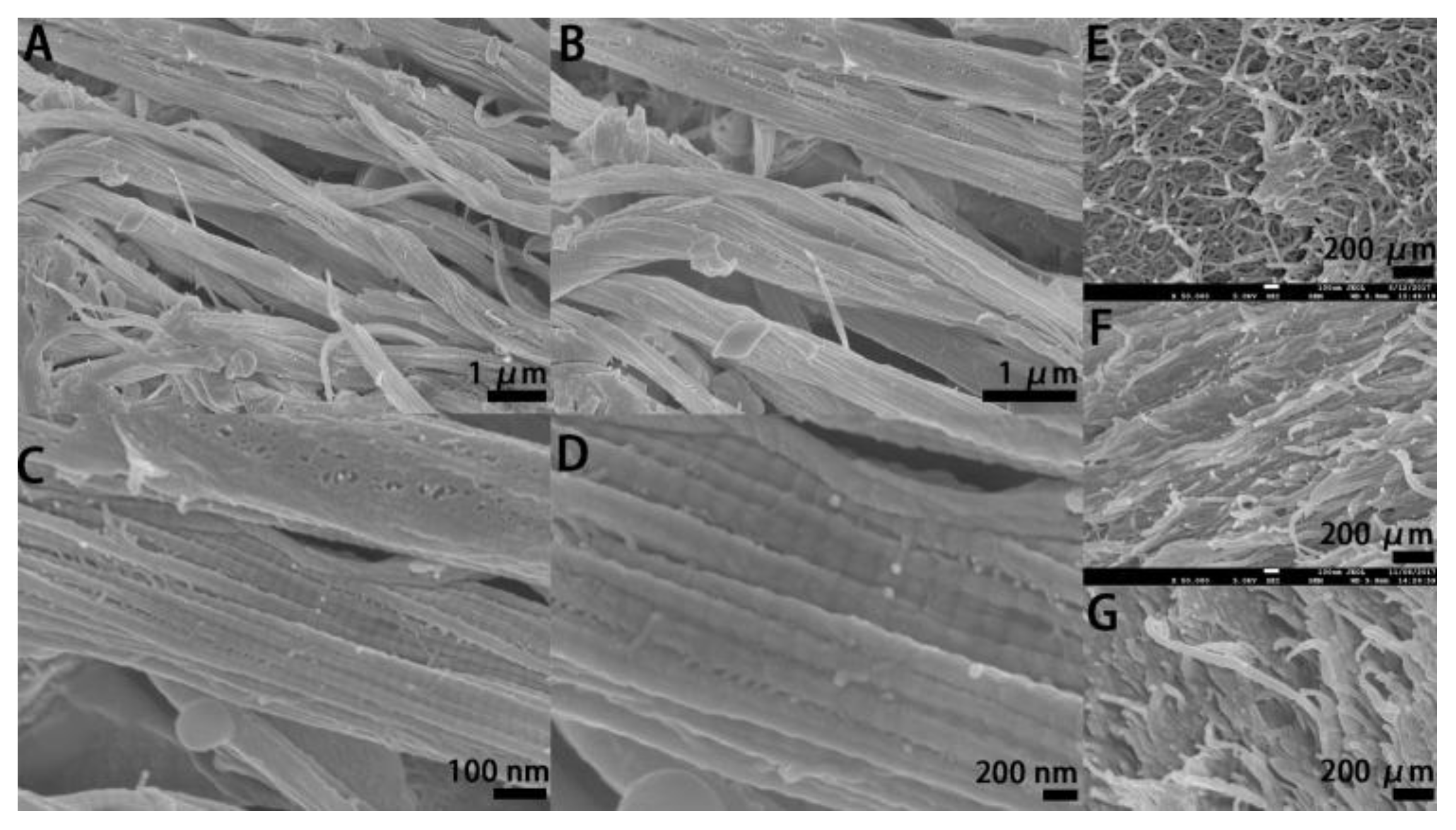 Polymers 10 00415 g002 Polymers 10 00415 g002