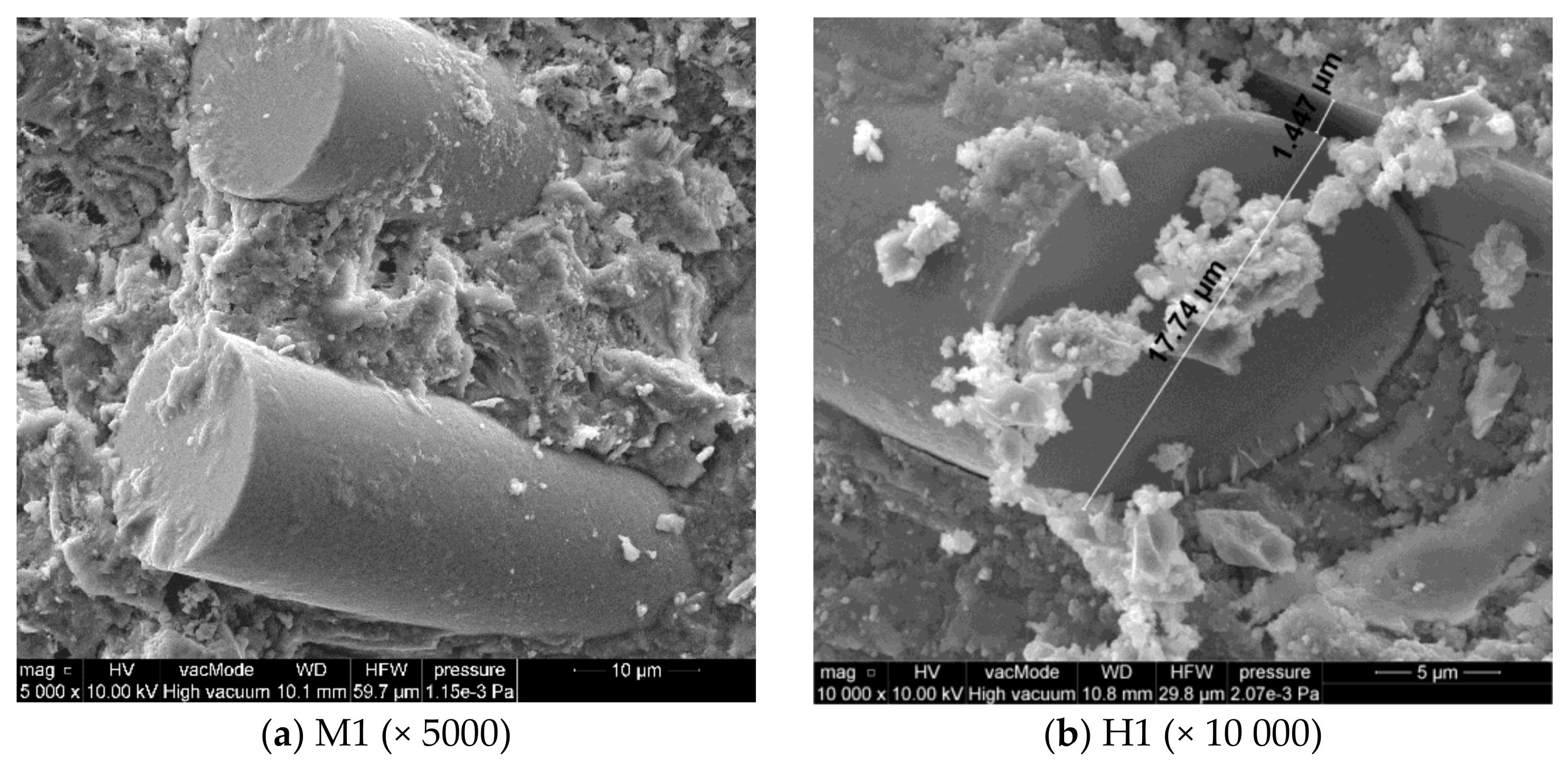 Polymers 10 00420 g005a