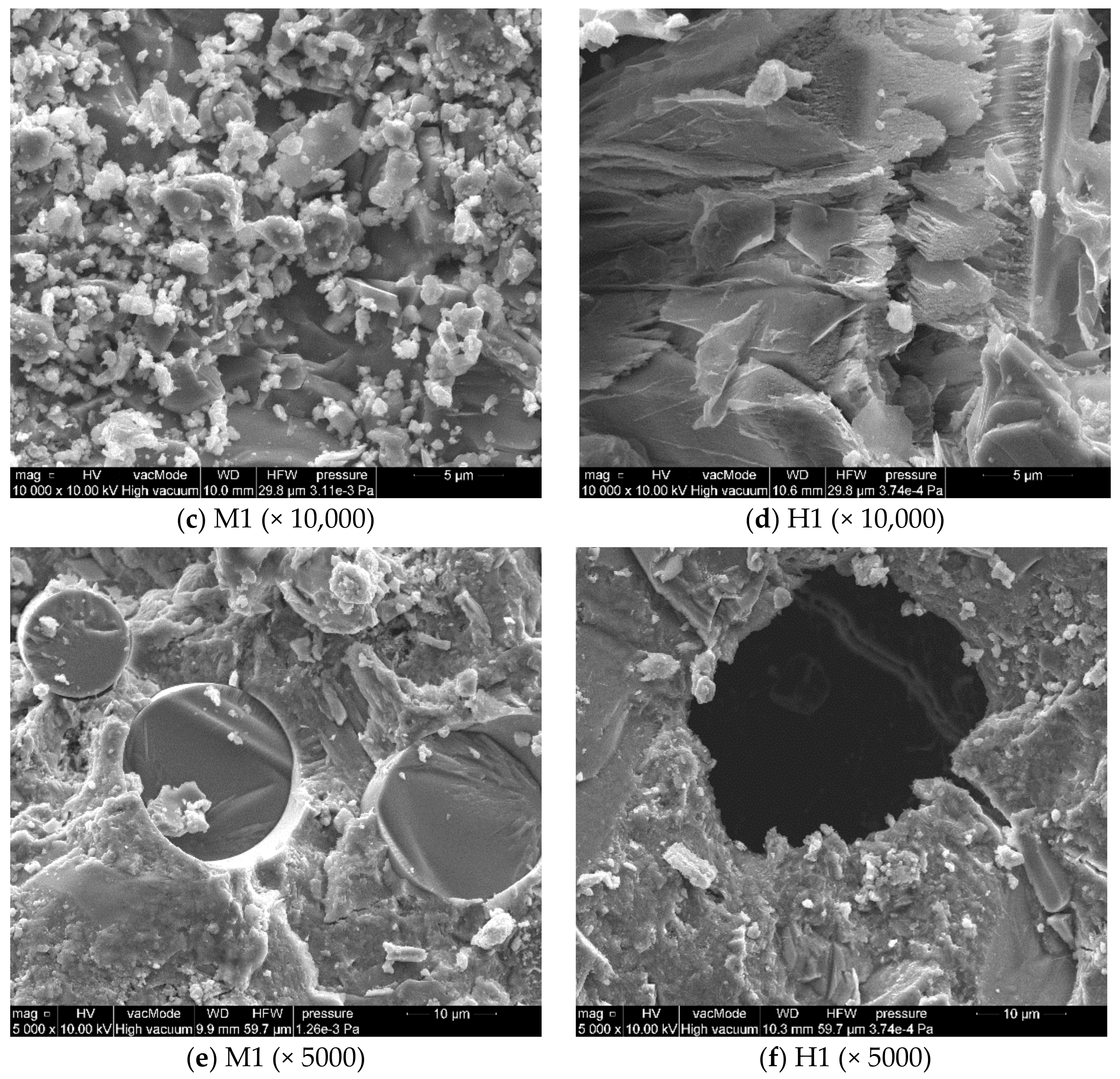 Polymers 10 00420 g005b