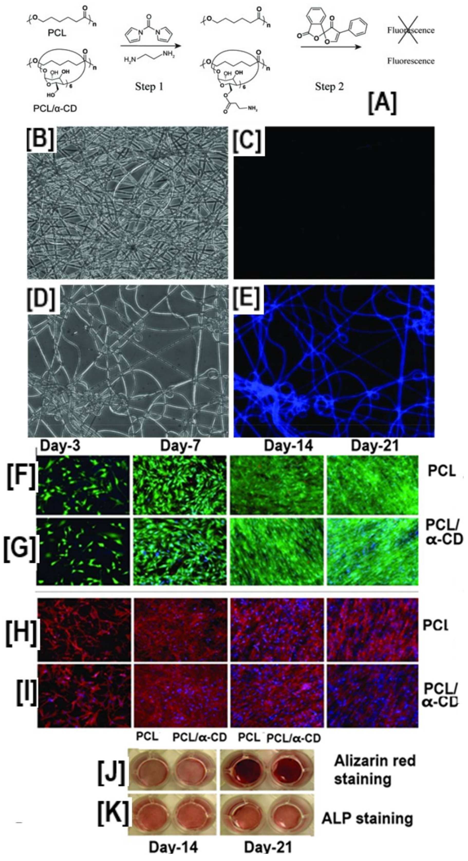 Polymers 10 00428 g009