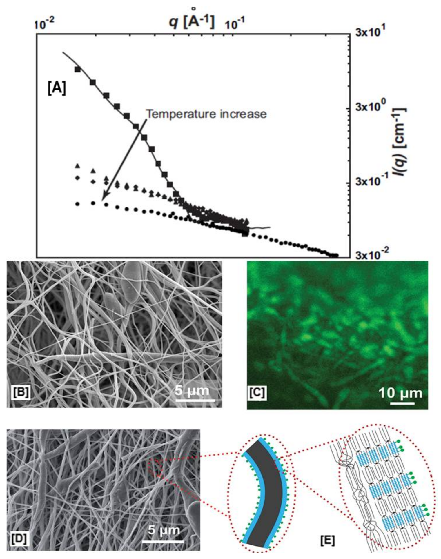 Polymers 10 00428 g010