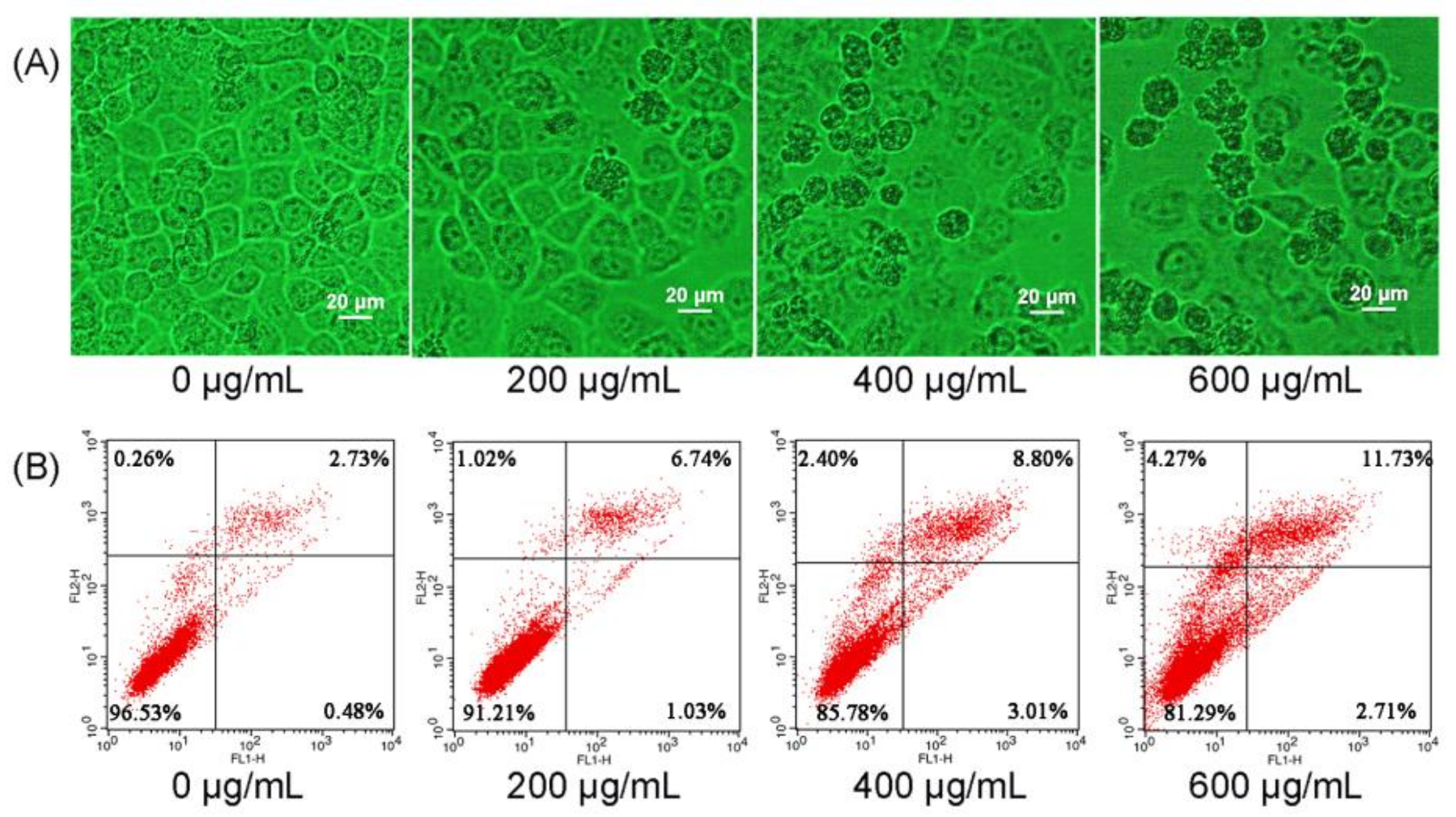 Polymers 10 00430 g005a