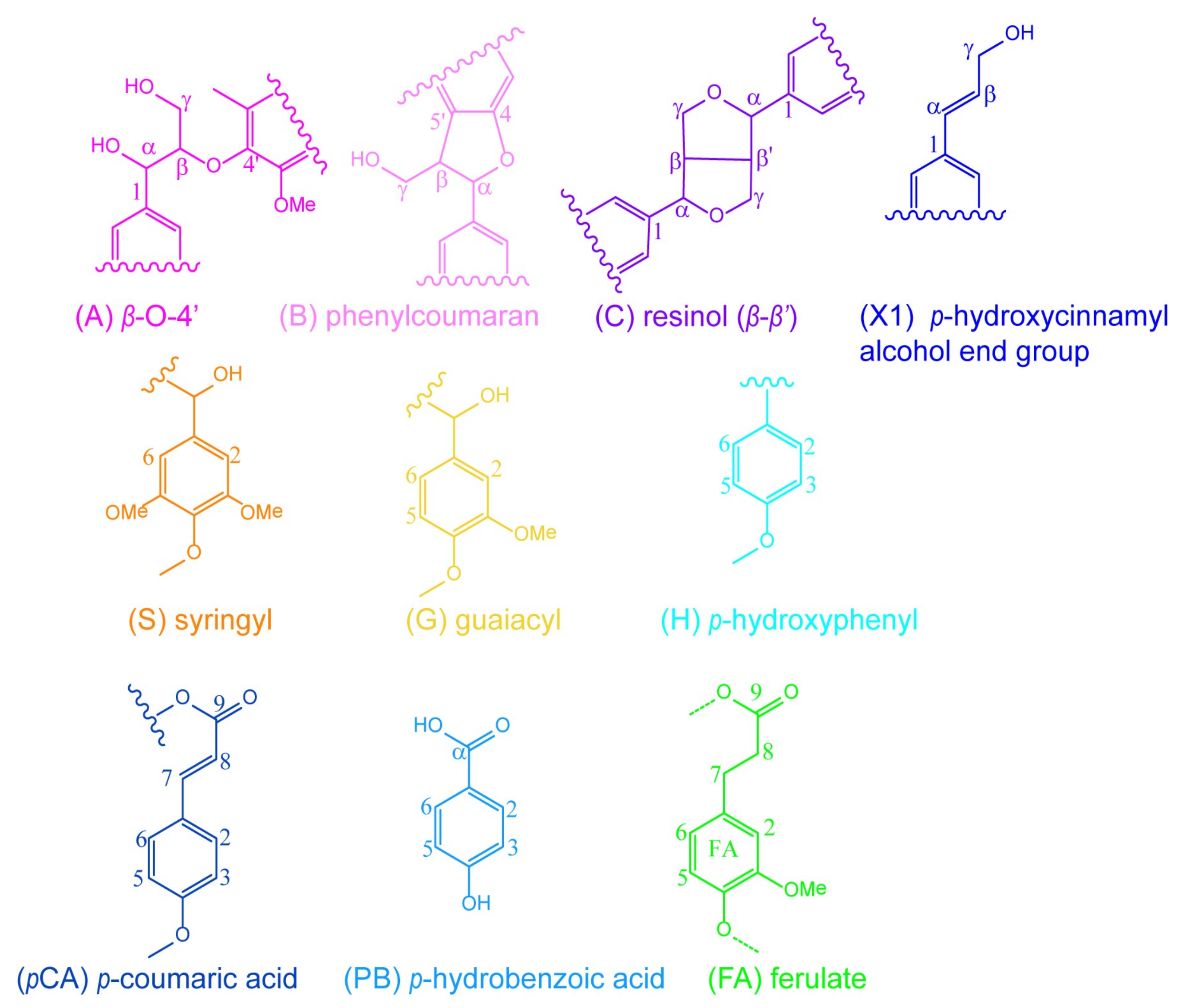 Polymers 10 00433 g005