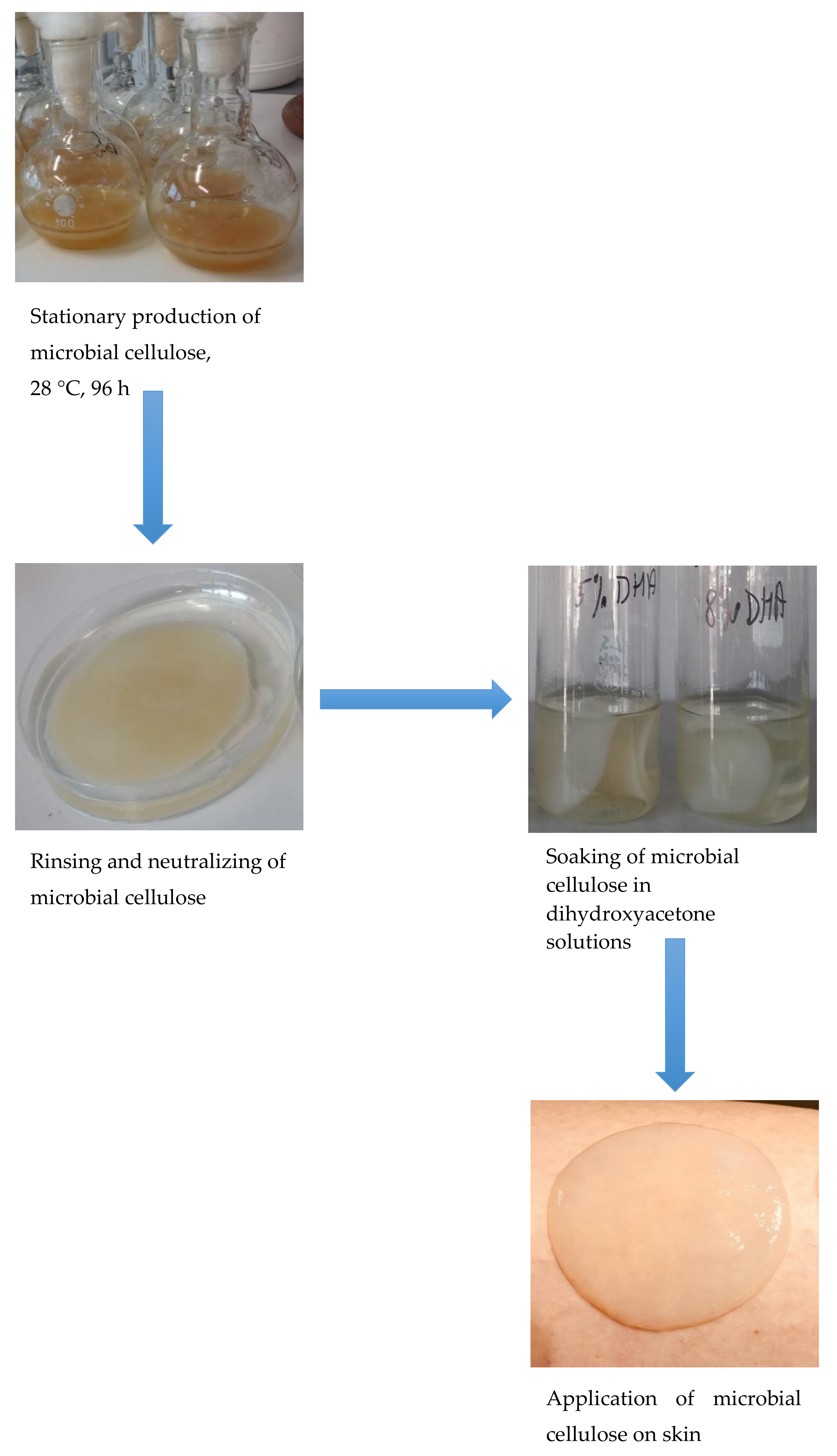 Polymers 10 00438 g003