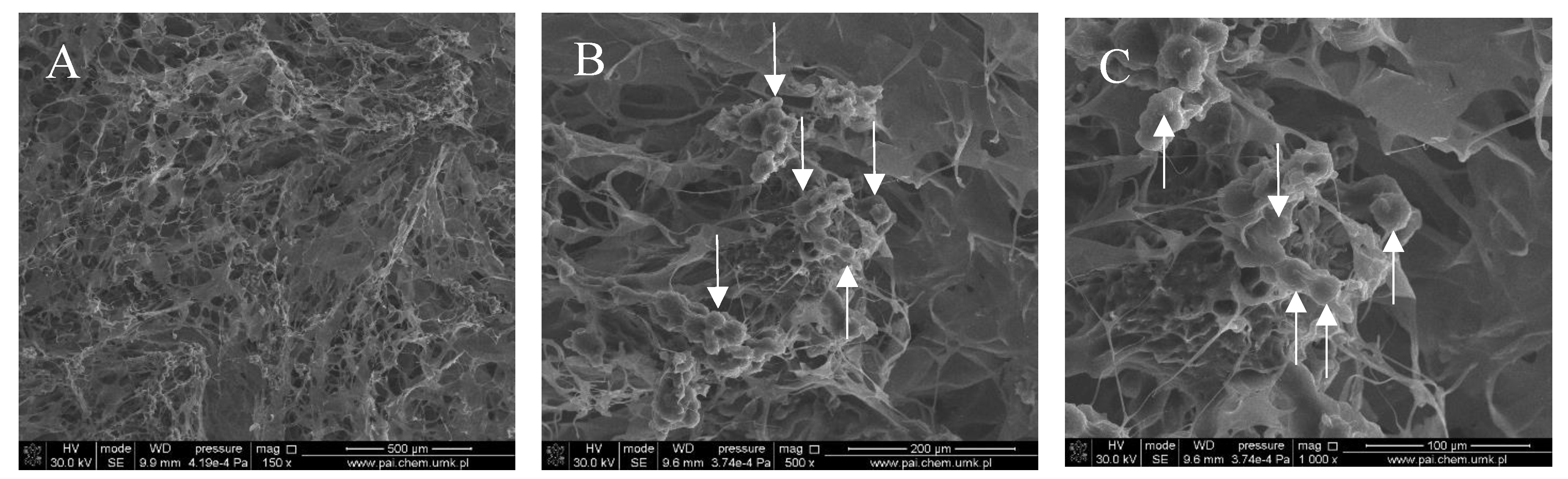 Polymers 10 00456 g003