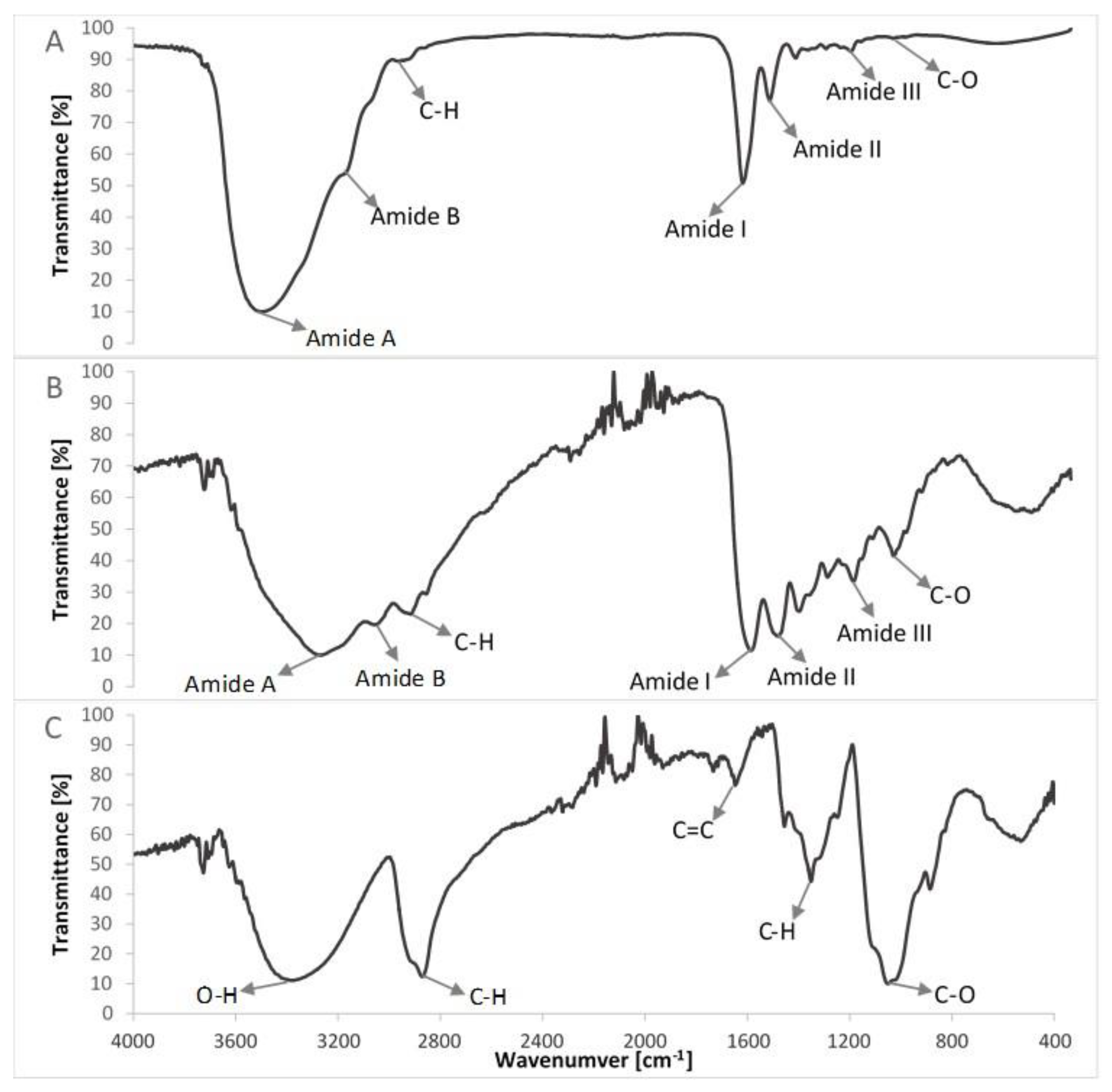 Polymers 10 00456 g005